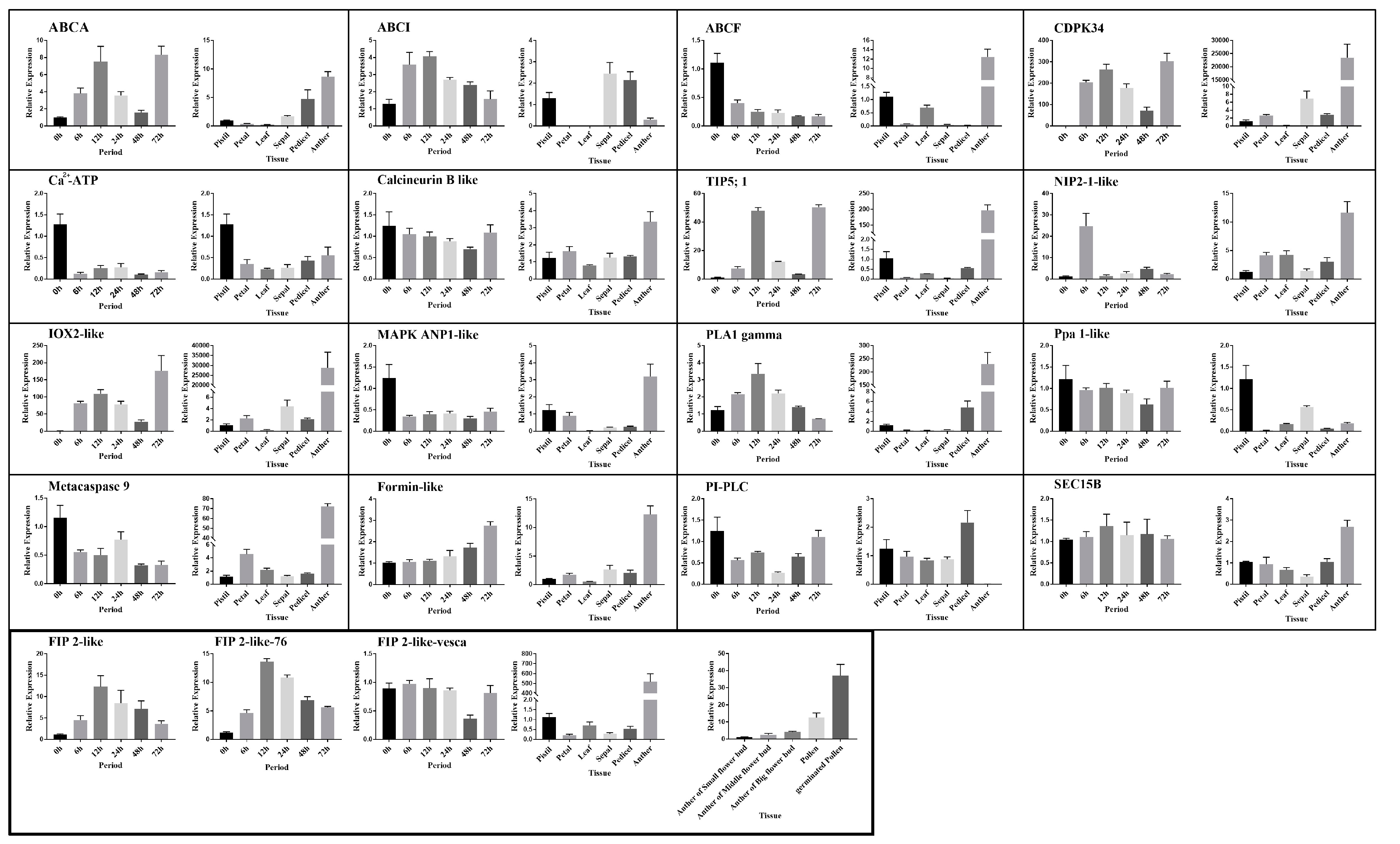 Ijms 20 01039 g008 Ijms 20 01039 g008