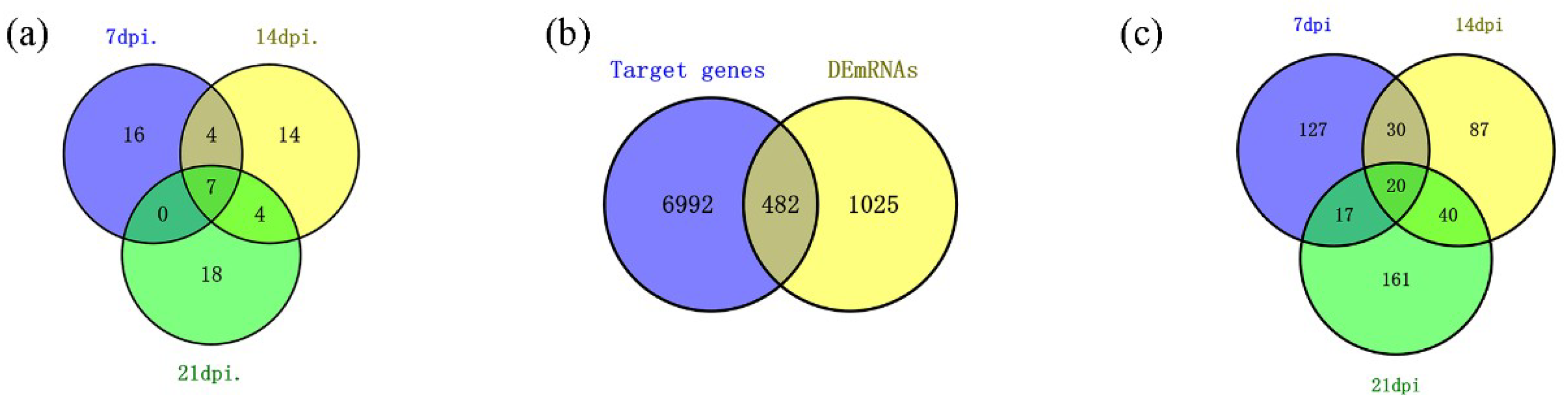 Ijms 20 01041 g004 550