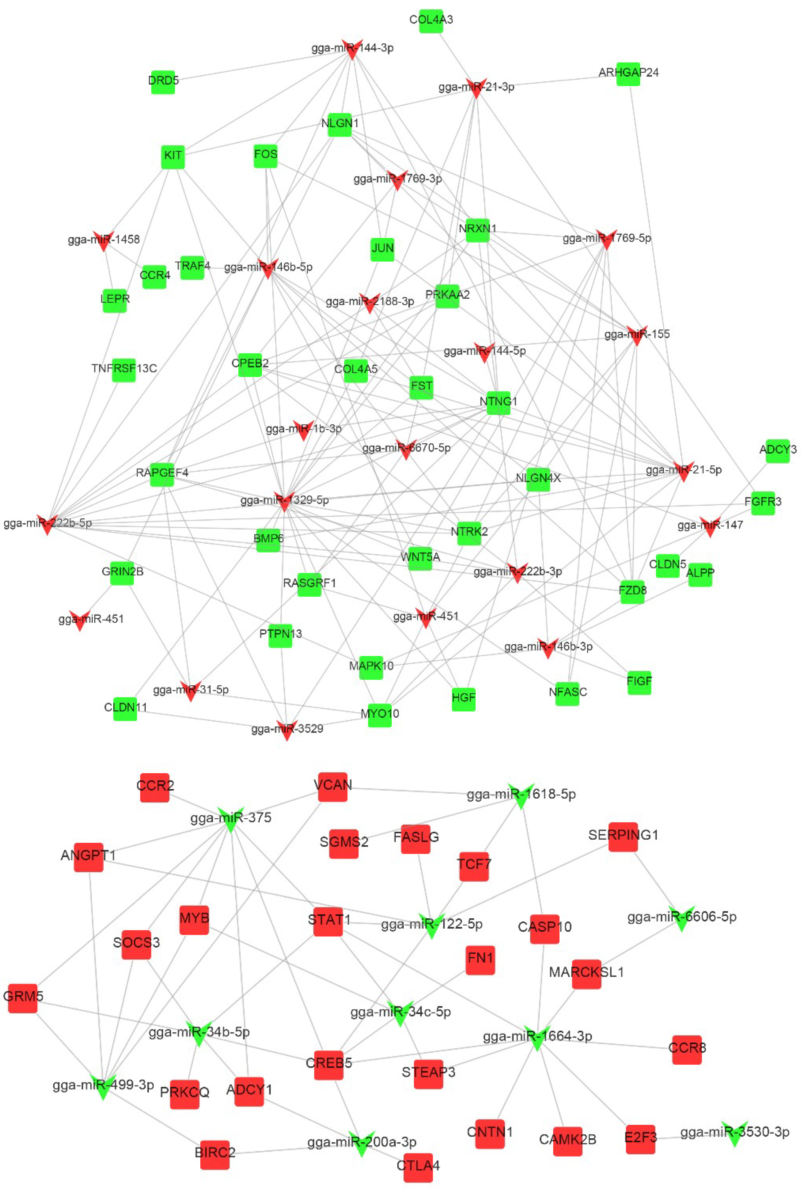 Ijms 20 01041 g010 550