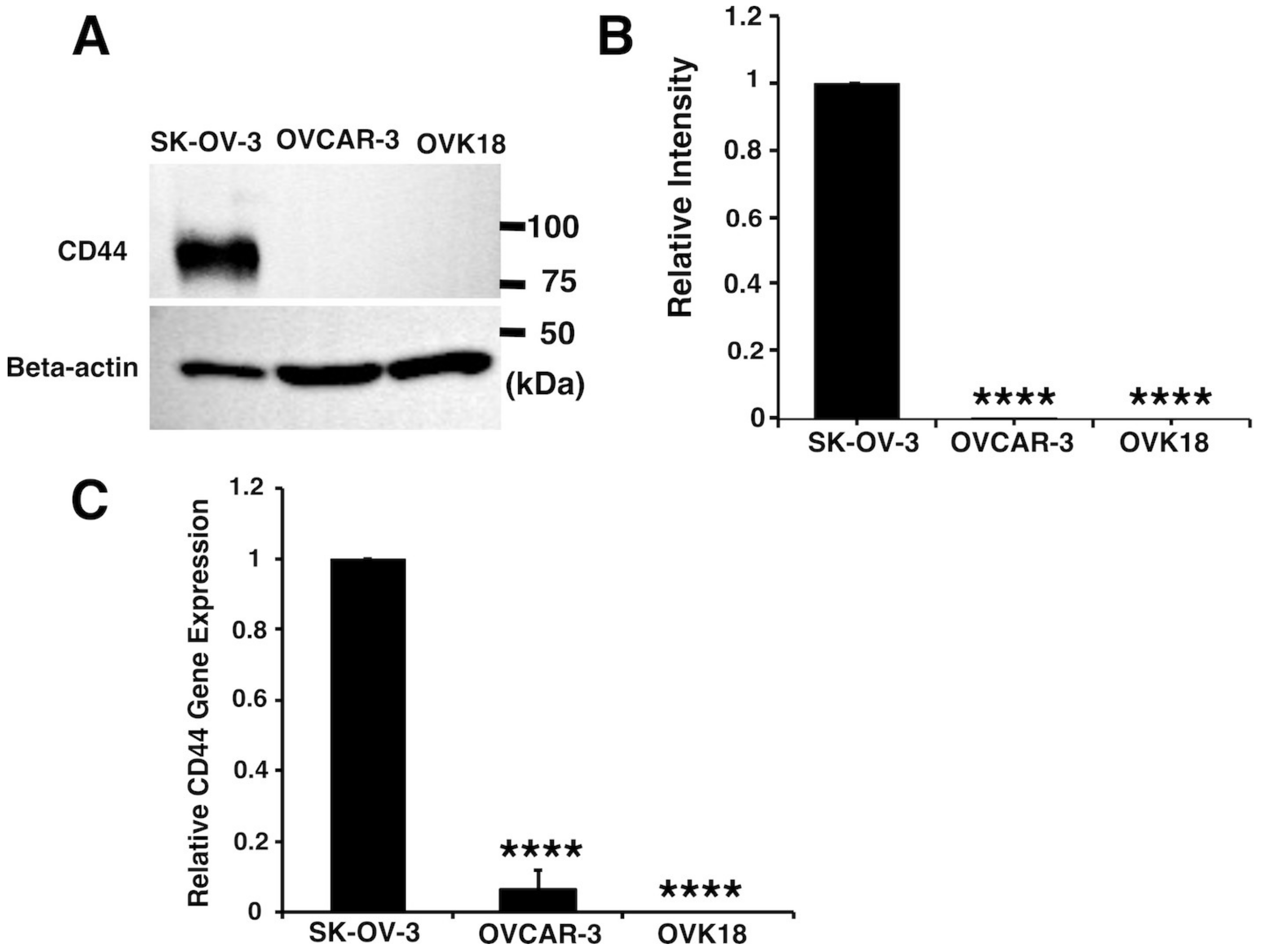 Ijms 20 01042 g001 550