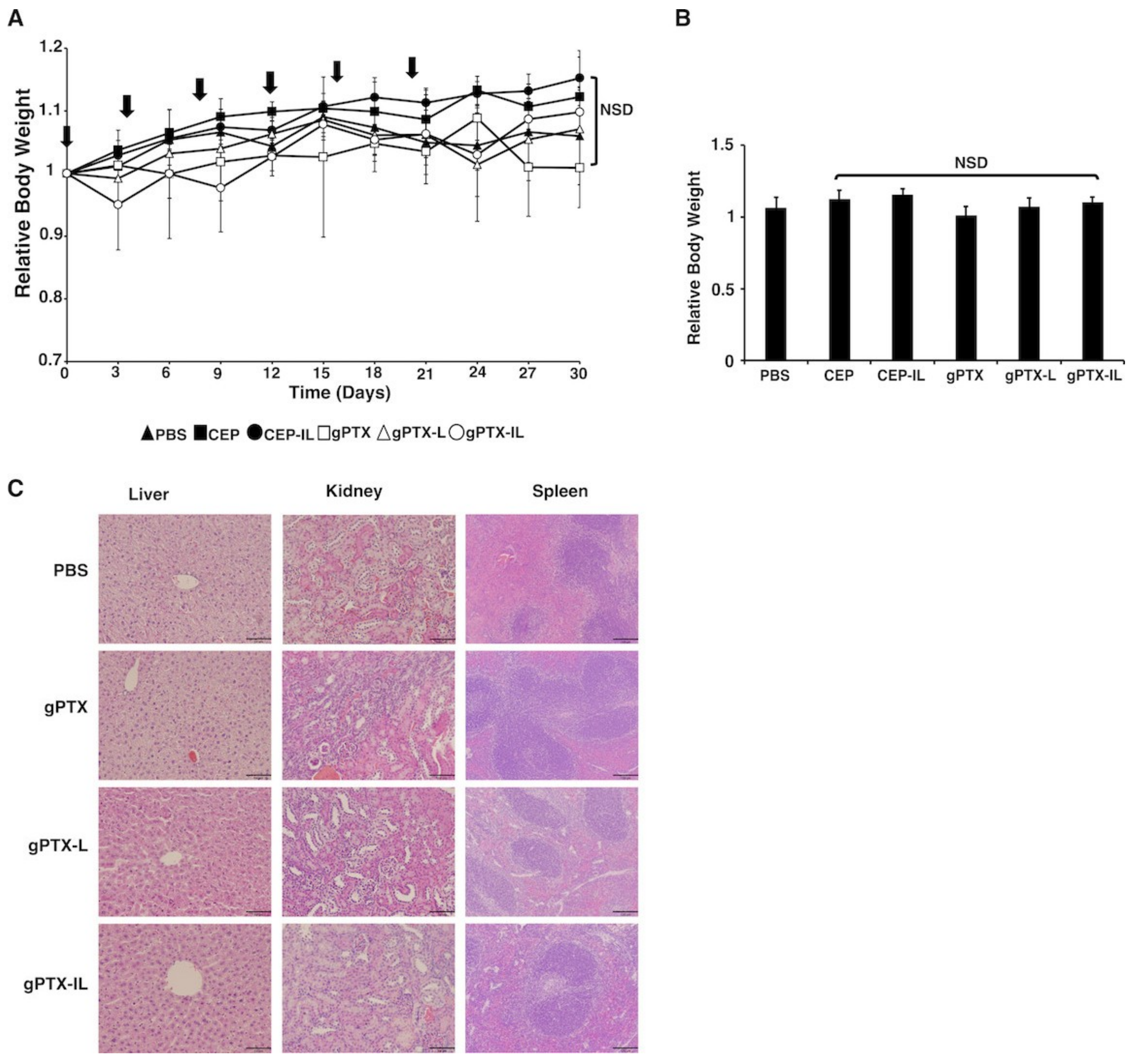 Ijms 20 01042 g008 550