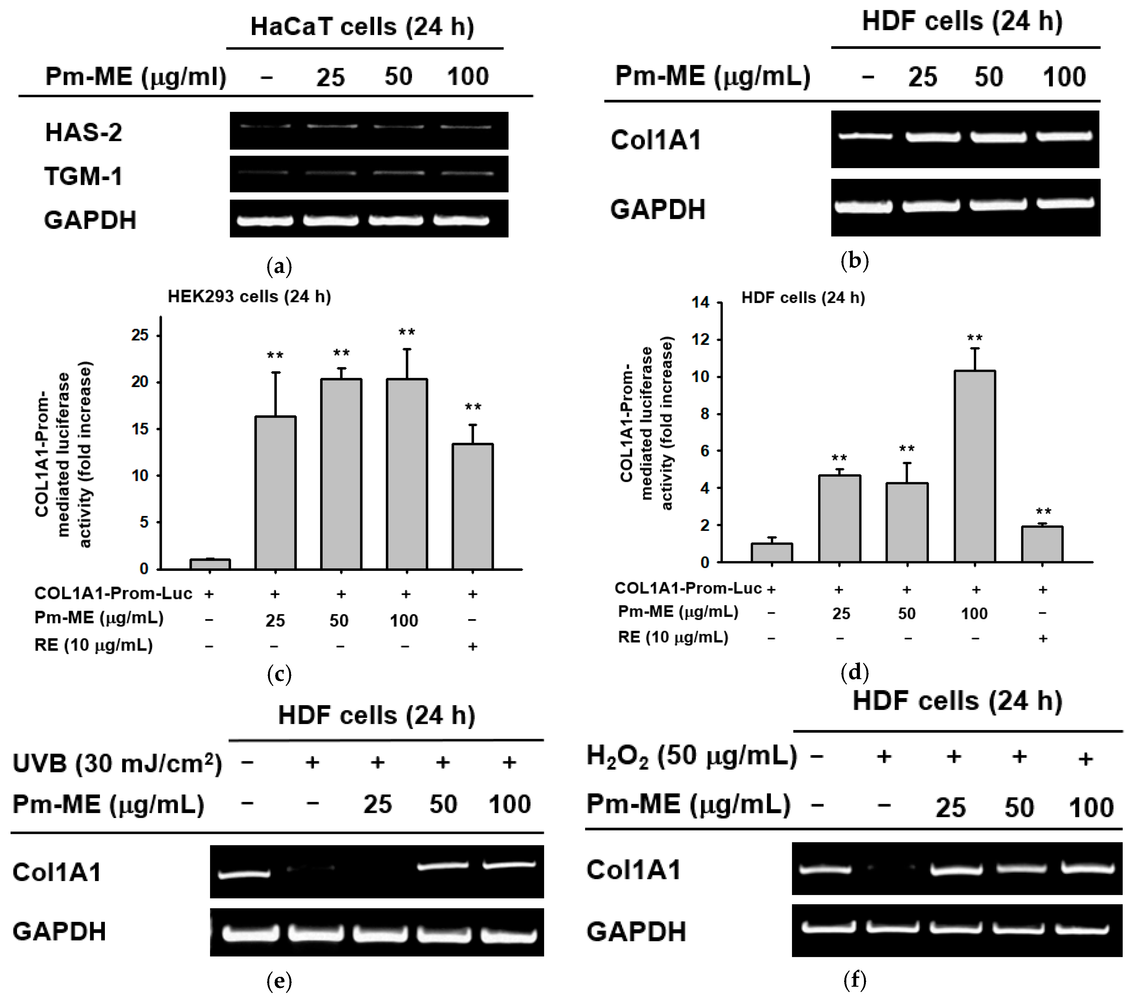 Ijms 20 01043 g003 Ijms 20 01043 g003