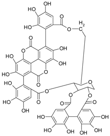 Ijms 20 01062 i009 Ijms 20 01062 i009