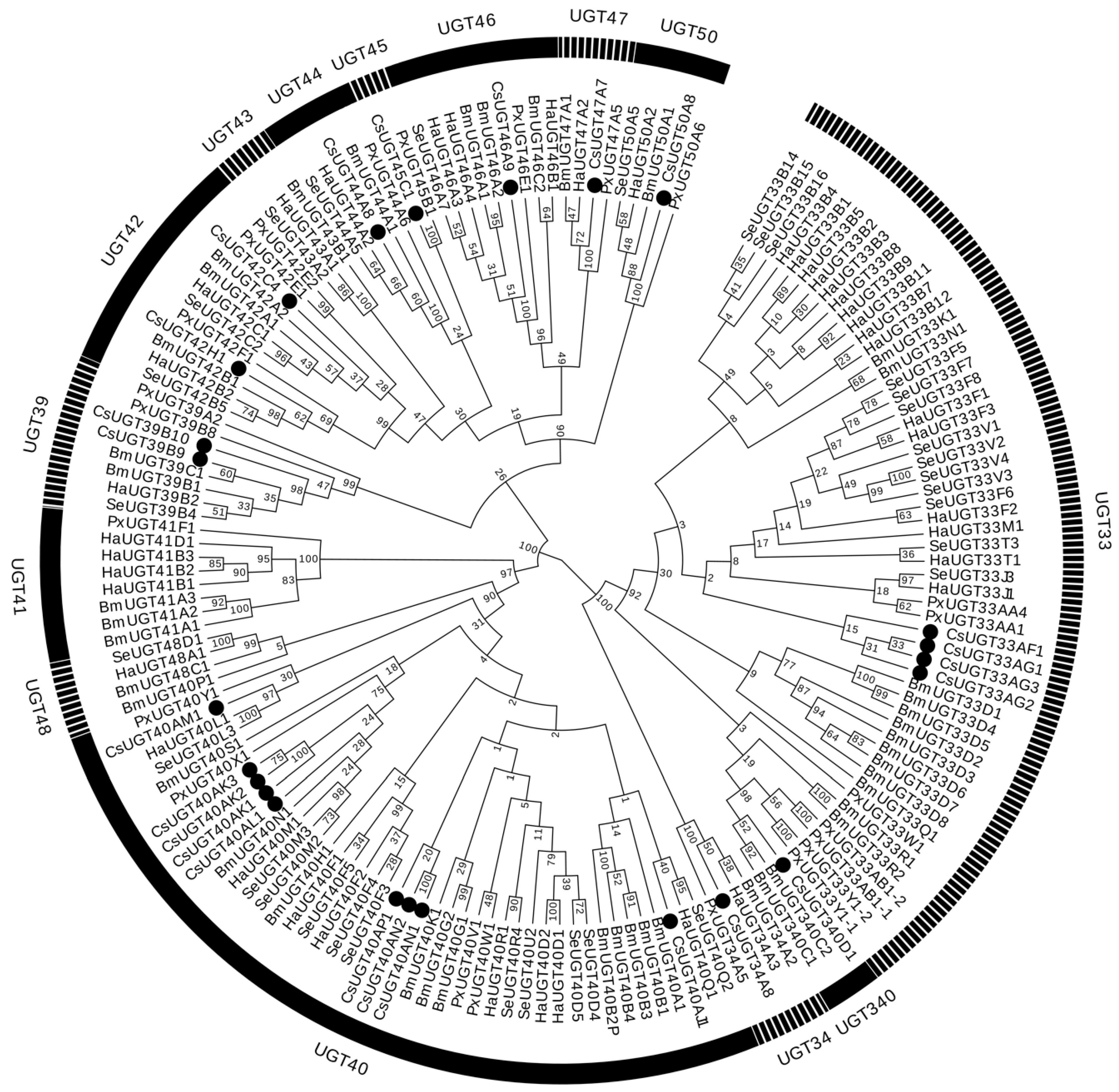 UDP-Glycosyltransferase Genes in the Striped Rice Stem Borer, Chilo suppressalis (Walker), and Their Contribution to Chlorantraniliprole Resistance UDP-Glycosyltransferase Genes in the Striped Rice Stem Borer, Chilo suppressalis (Walker), and Their Contribution to Chlorantraniliprole Resistance