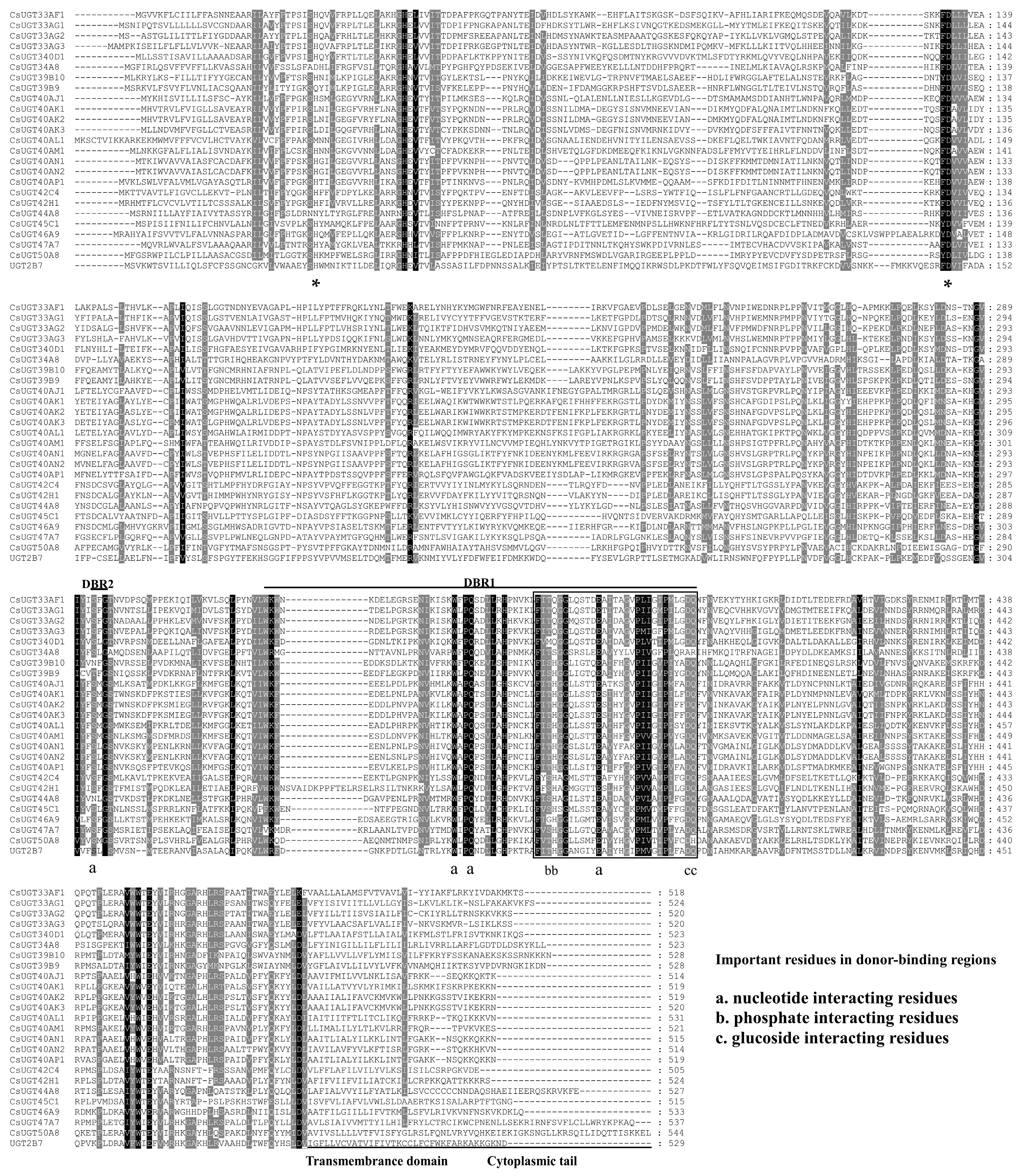 Ijms 20 01064 g002 Ijms 20 01064 g002