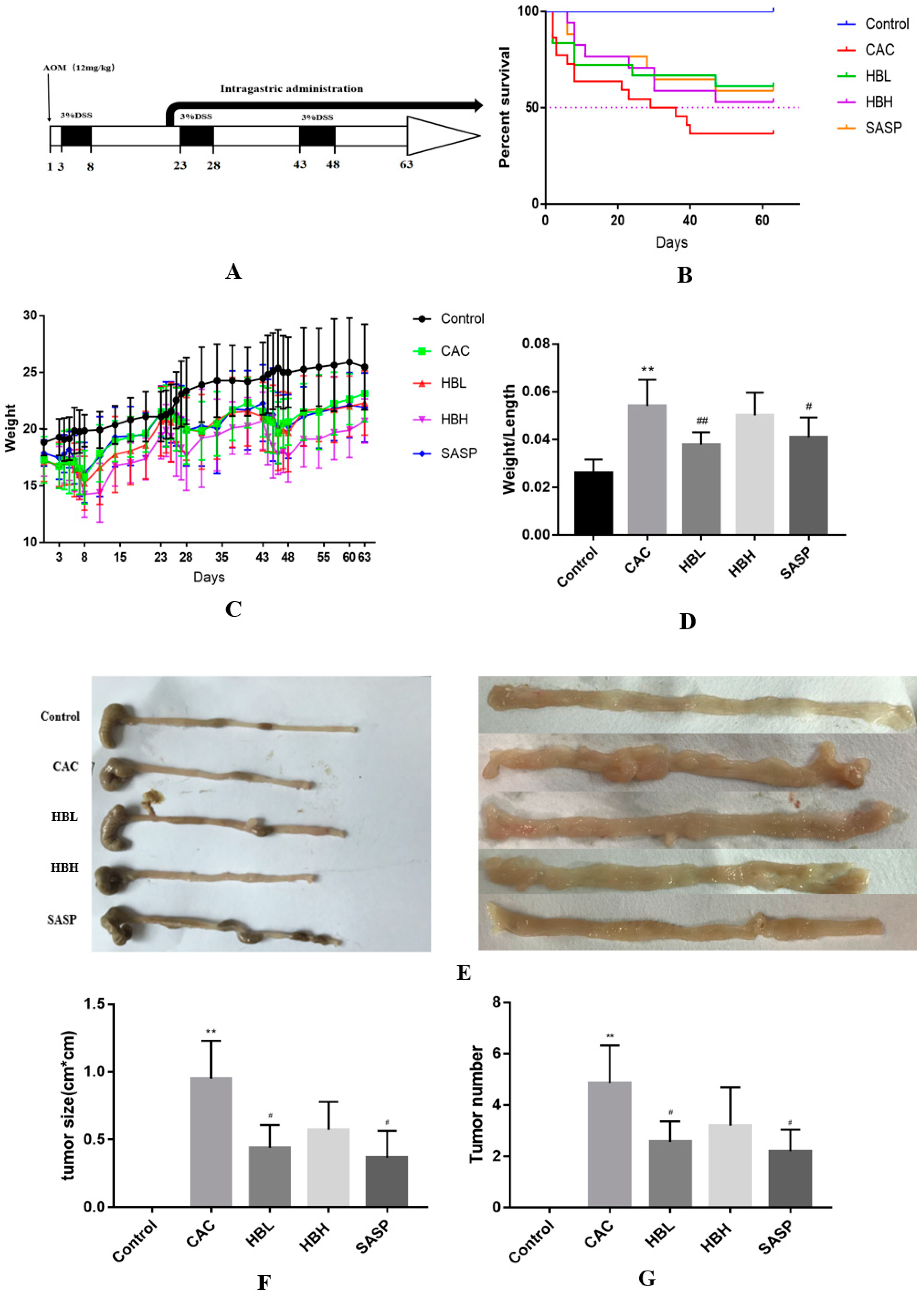 Ijms 20 01069 g001 550