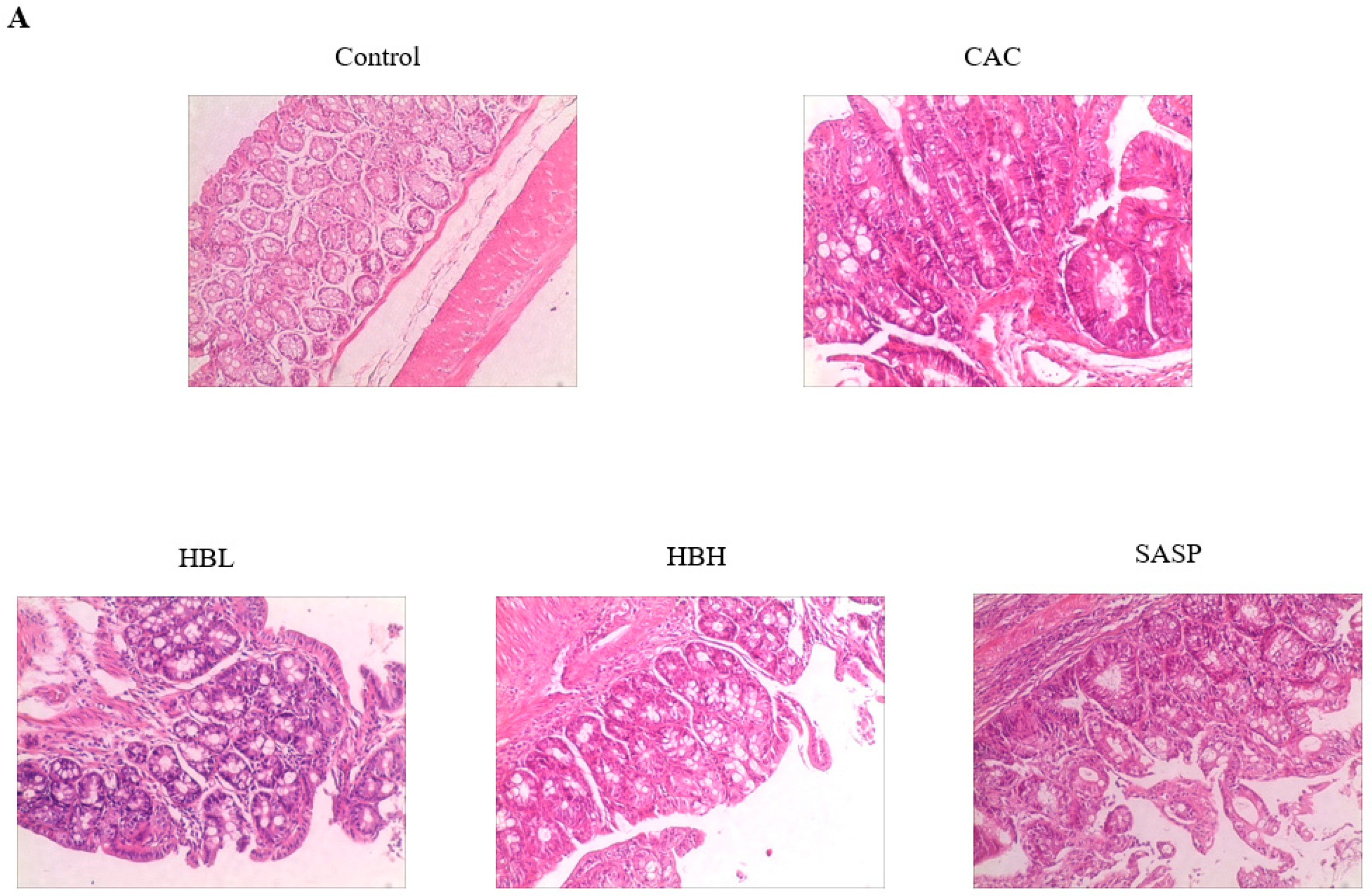 Ijms 20 01069 g002a 550