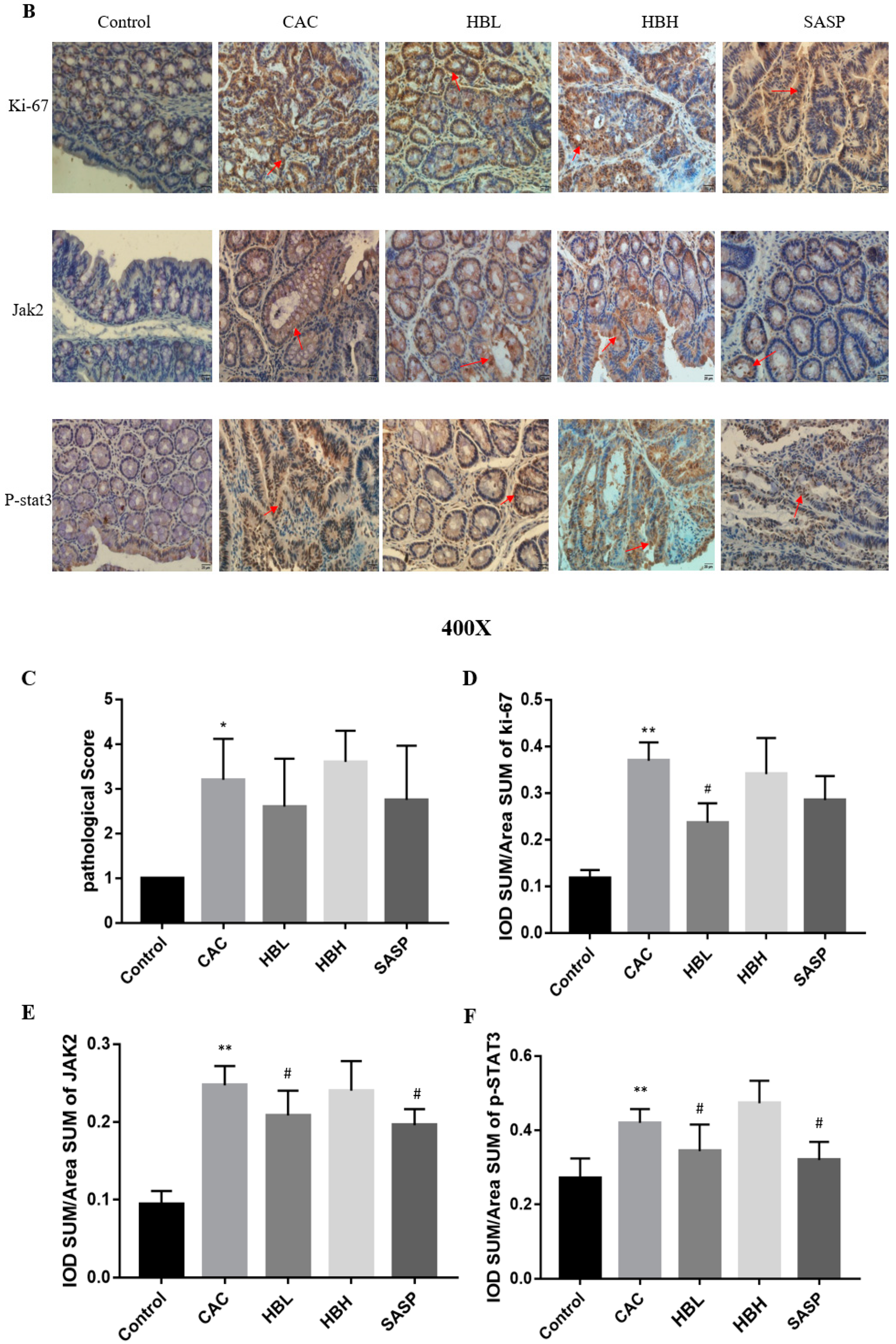 Ijms 20 01069 g002b 550