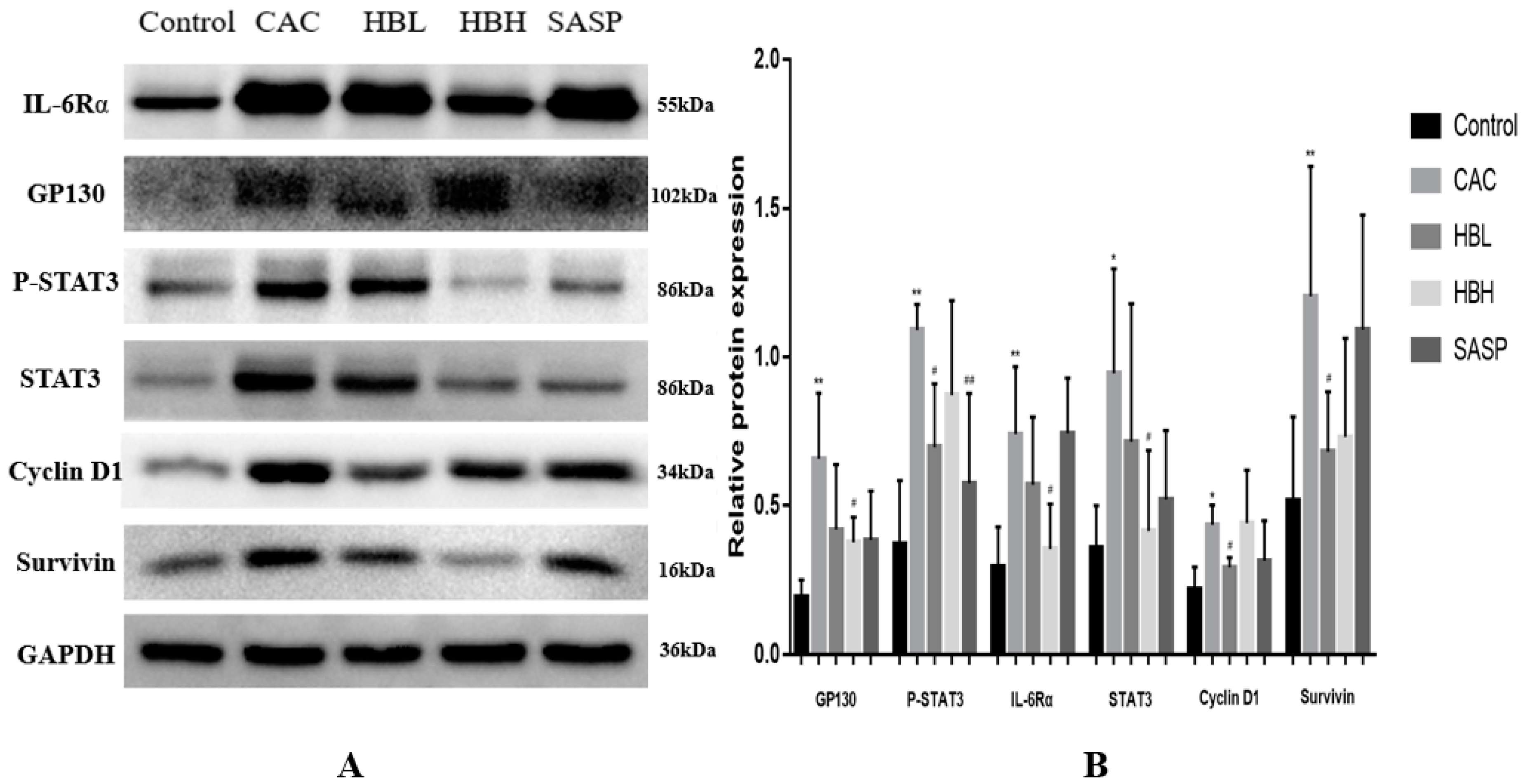 Ijms 20 01069 g004 550