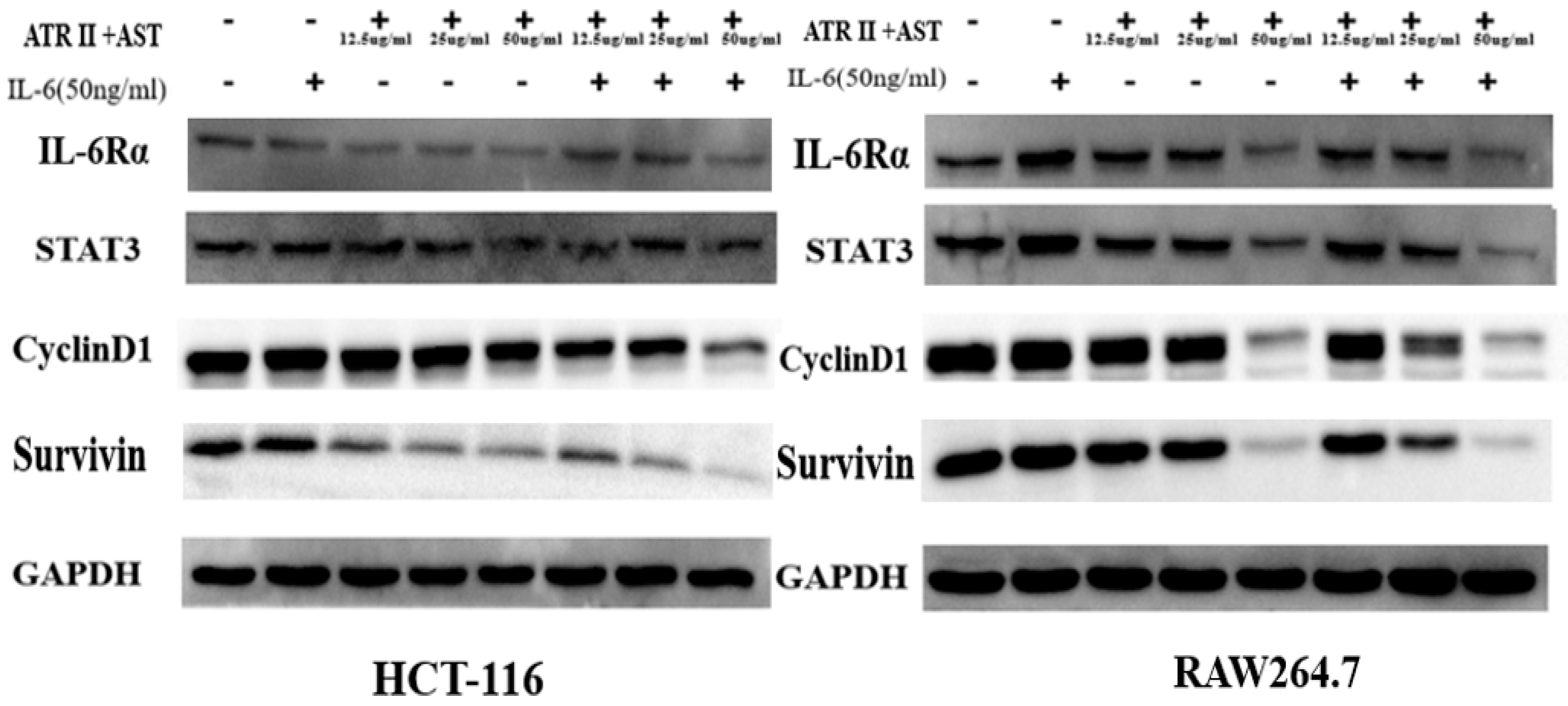 Ijms 20 01069 g006 550