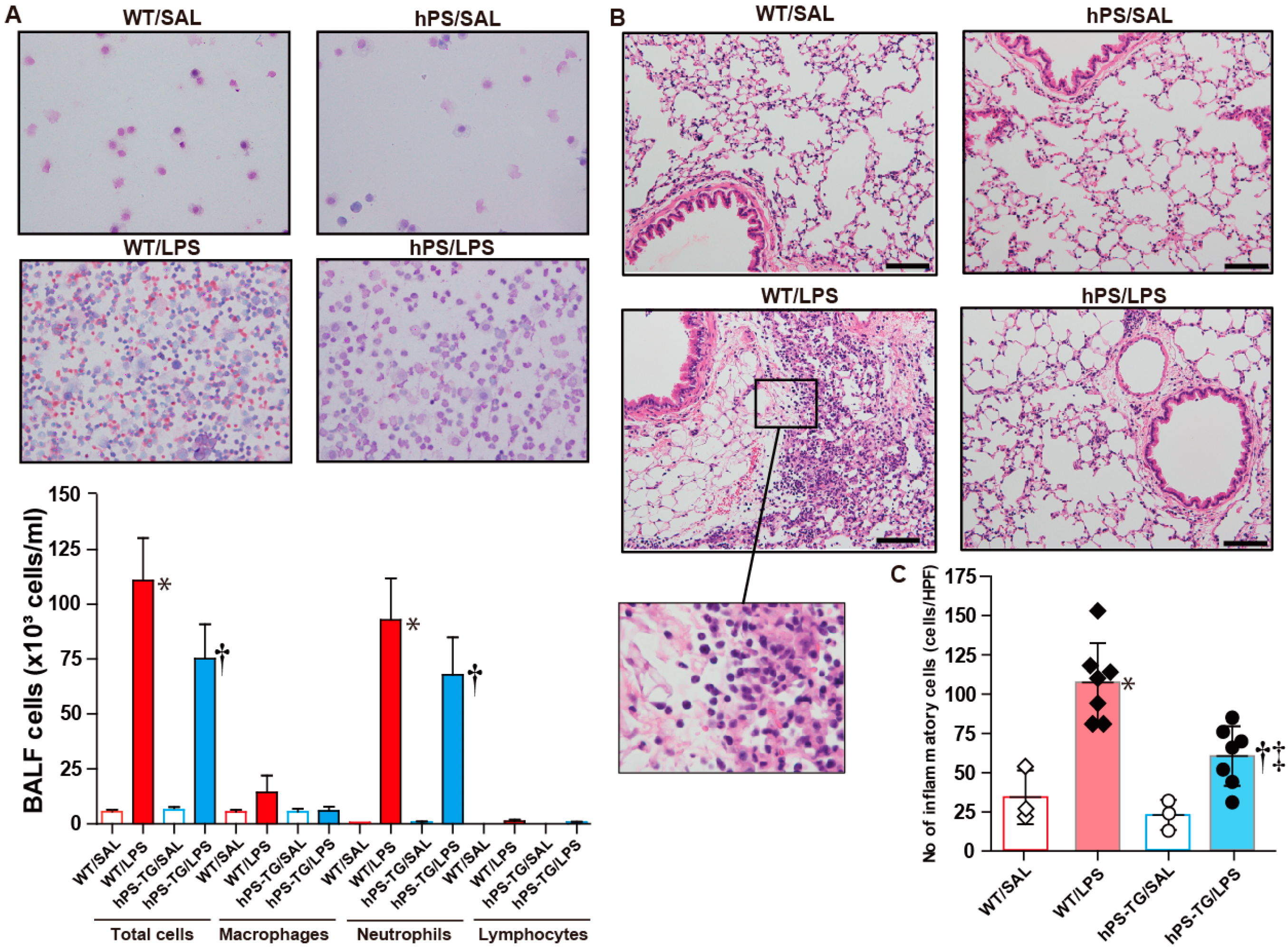 Ijms 20 01082 g002 Ijms 20 01082 g002