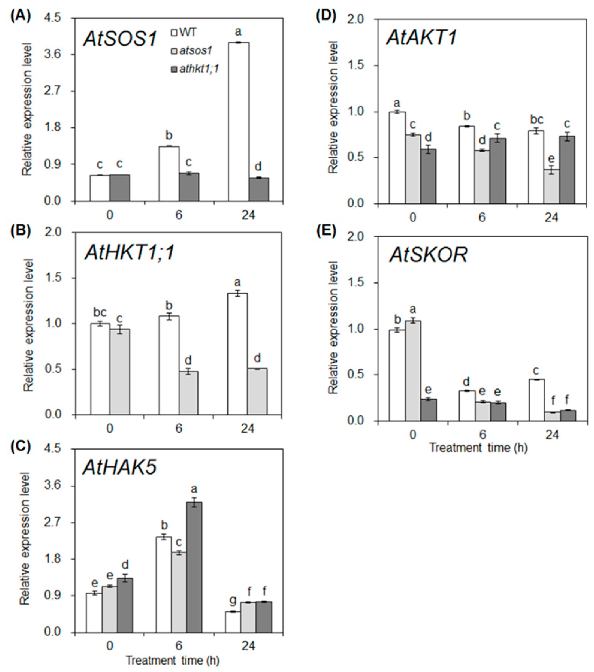 Ijms 20 01085 g003 Ijms 20 01085 g003