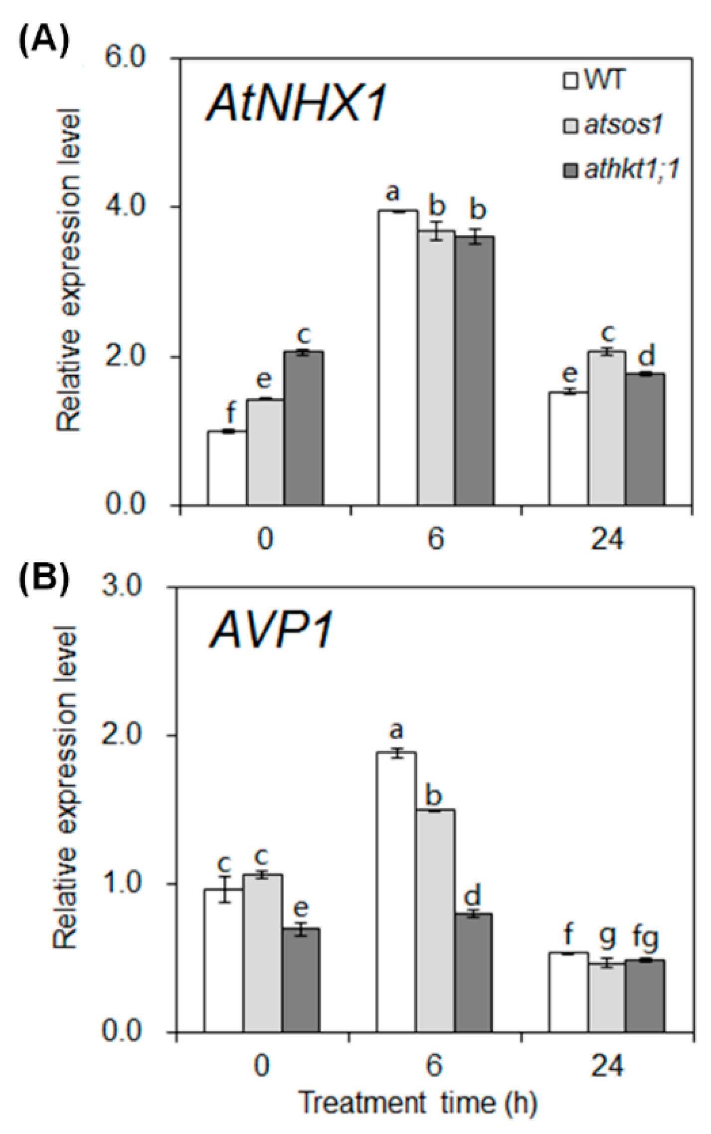 Ijms 20 01085 g004 Ijms 20 01085 g004