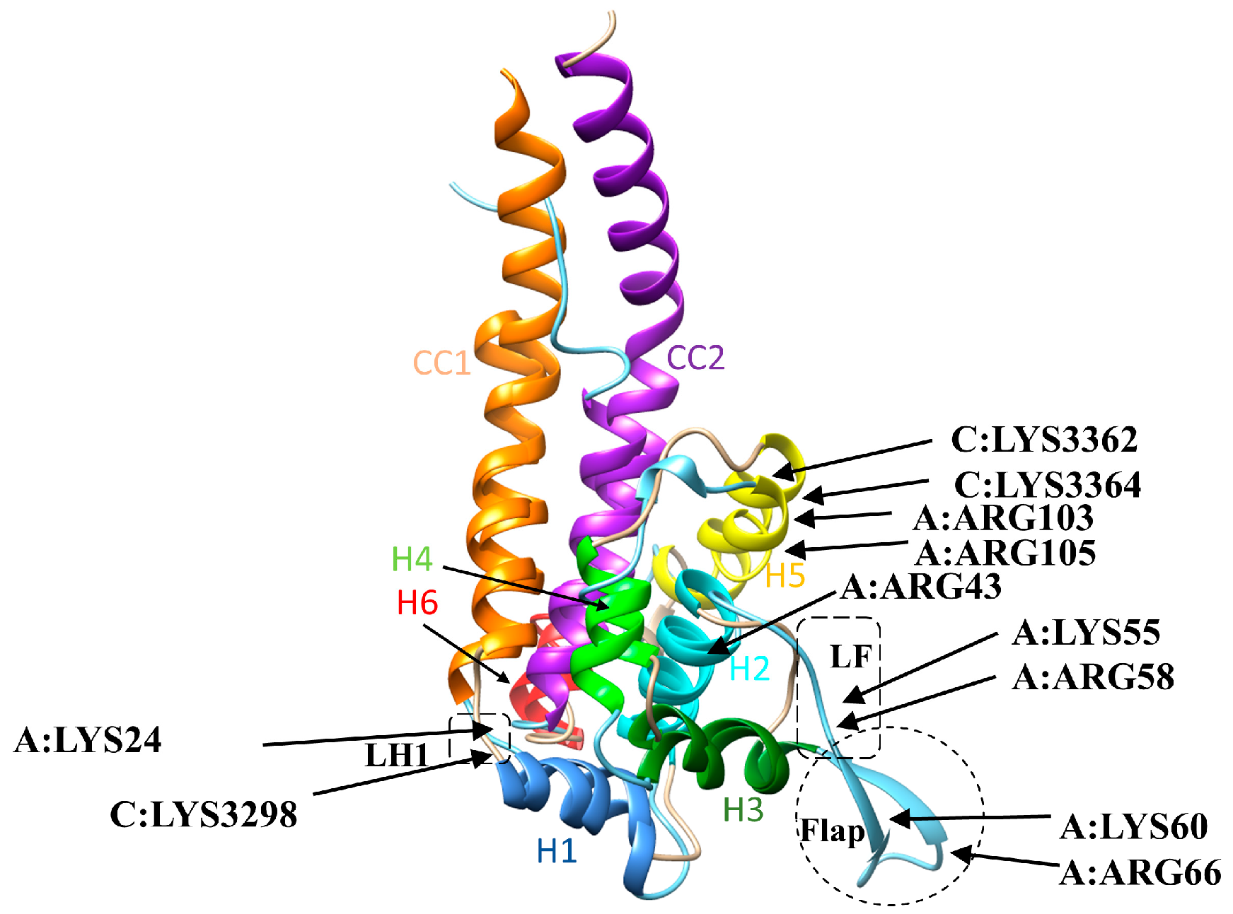 Ijms 20 01090 g006 Ijms 20 01090 g006