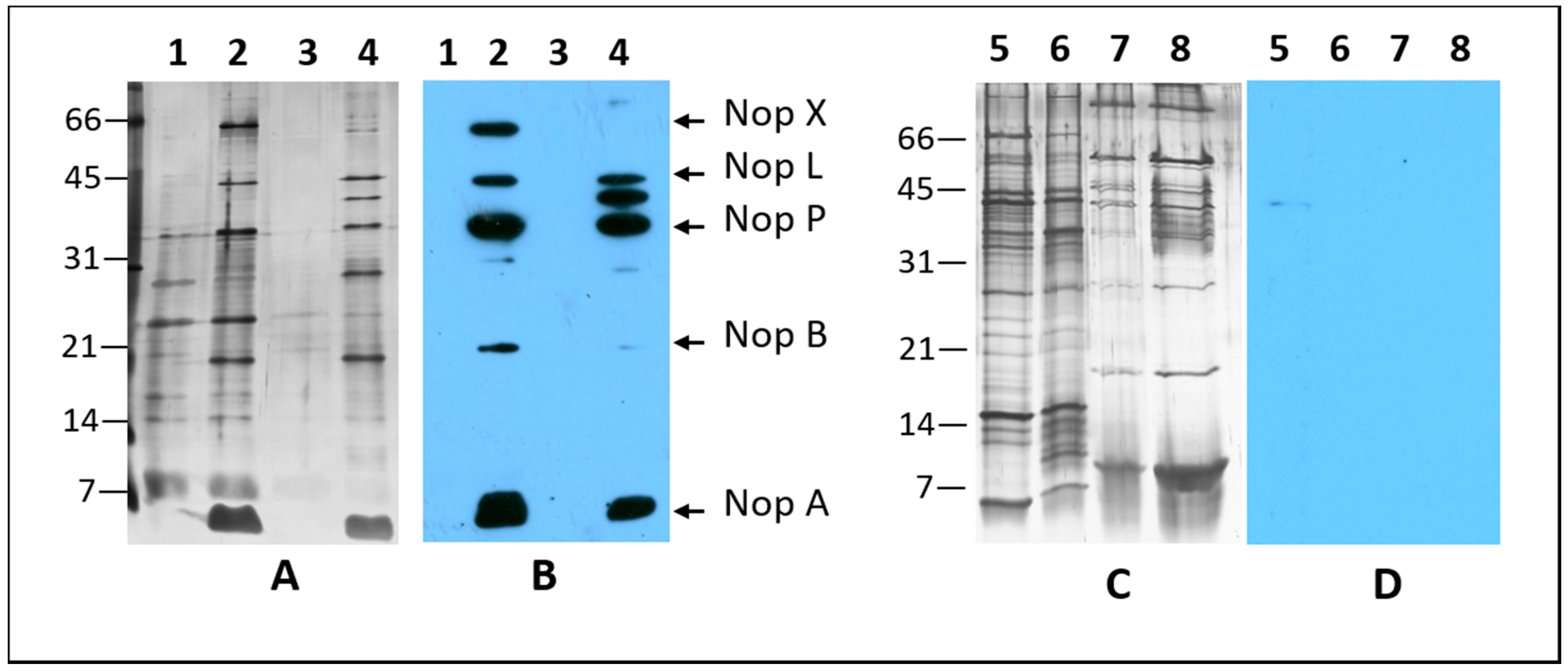 Ijms 20 01091 g002