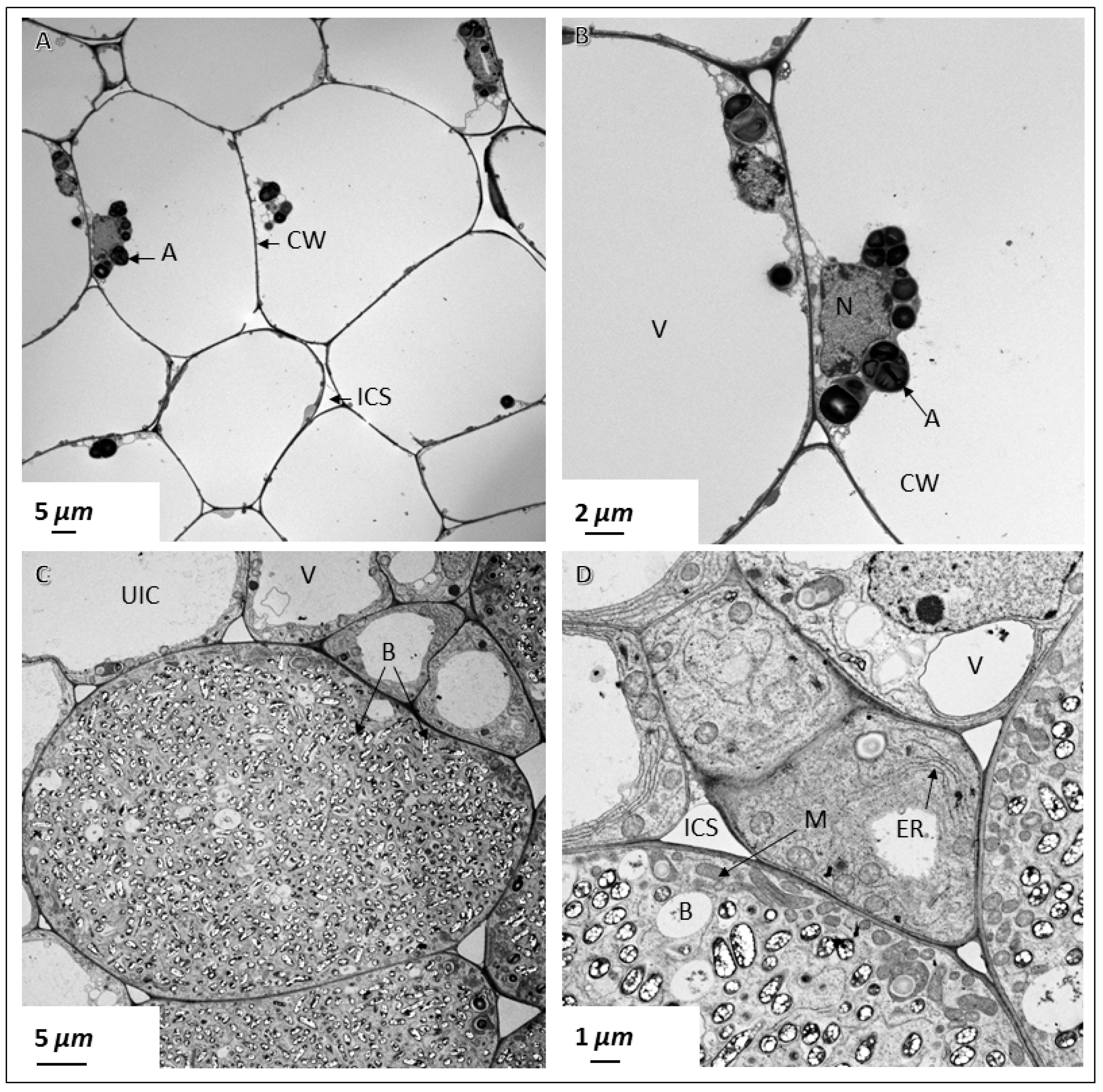 Ijms 20 01091 g005
