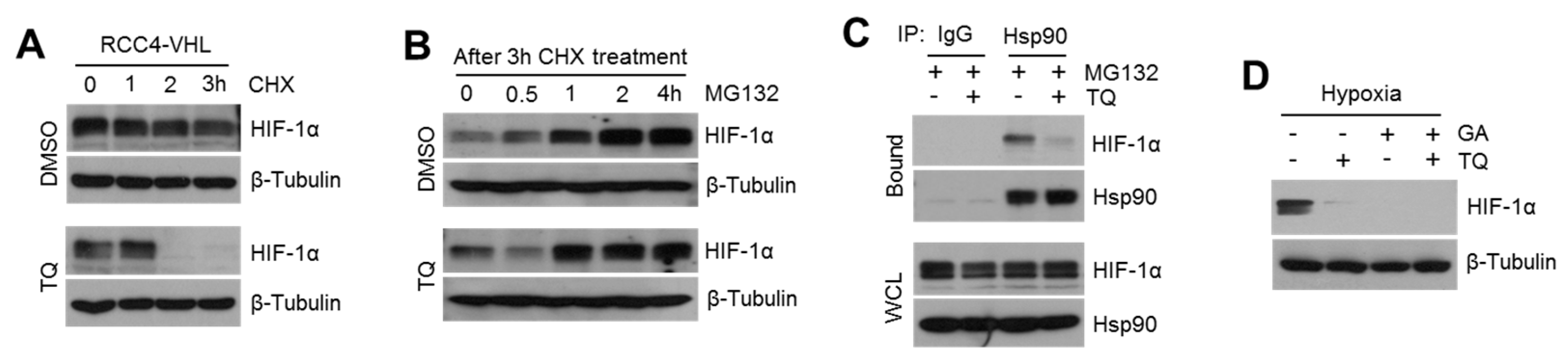 Ijms 20 01092 g004