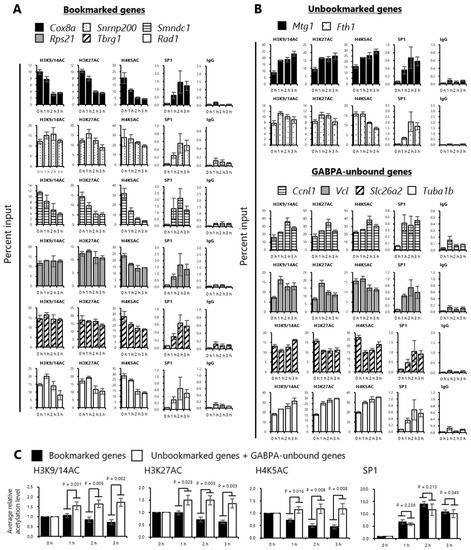 Identification of GA-Binding Protein Transcription Factor Identification of GA-Binding Protein Transcription Factor