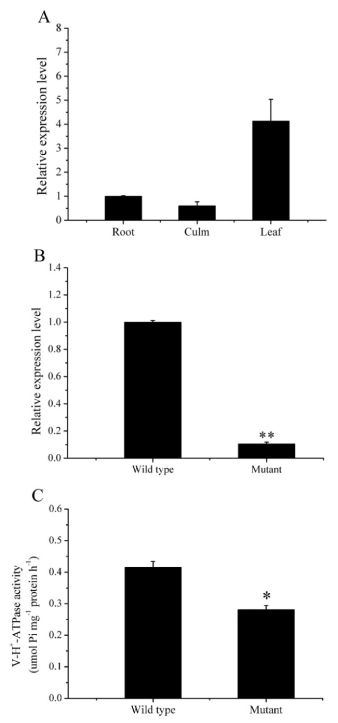 Ijms 20 01098 g003 Ijms 20 01098 g003