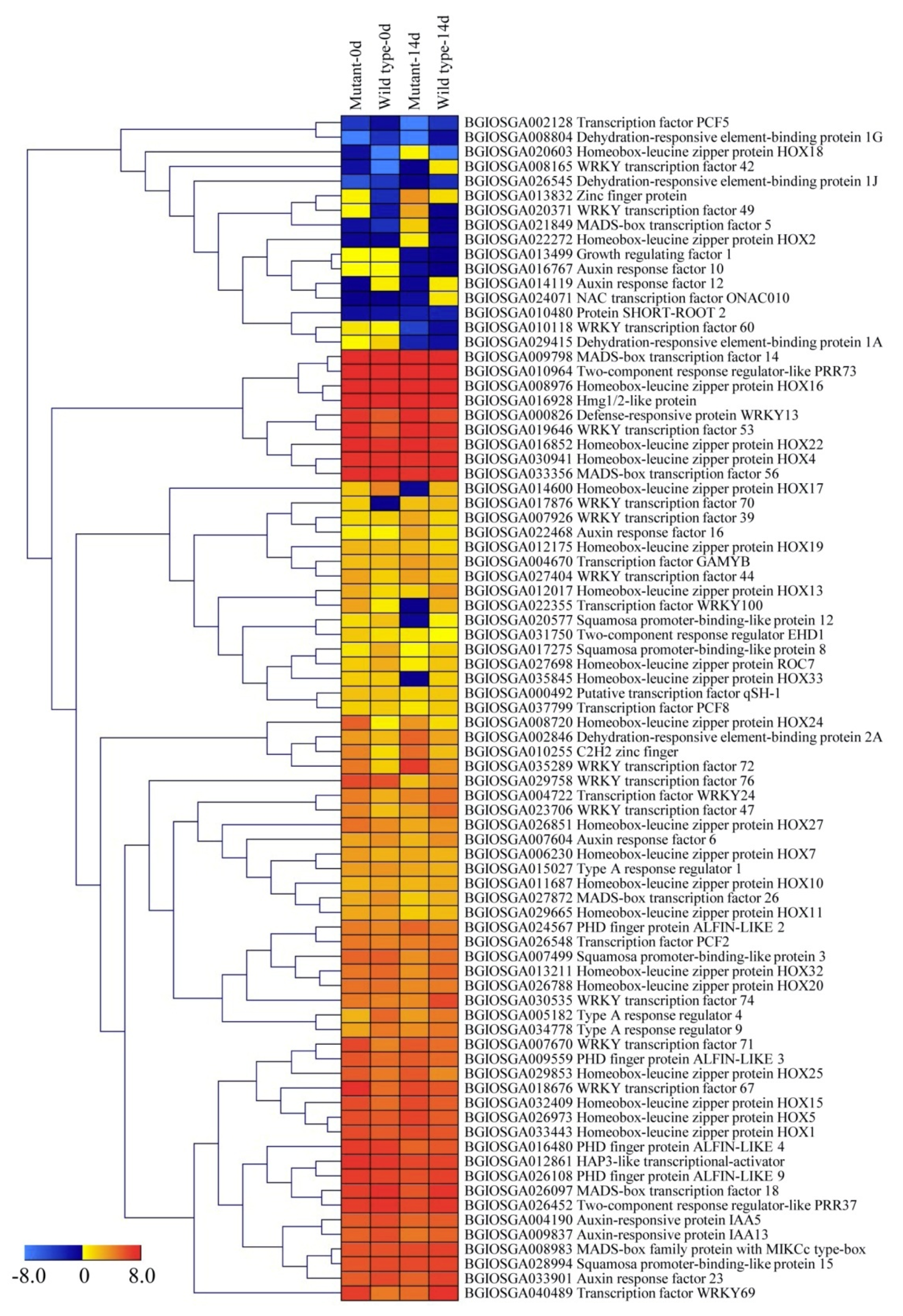 Ijms 20 01098 g006 Ijms 20 01098 g006