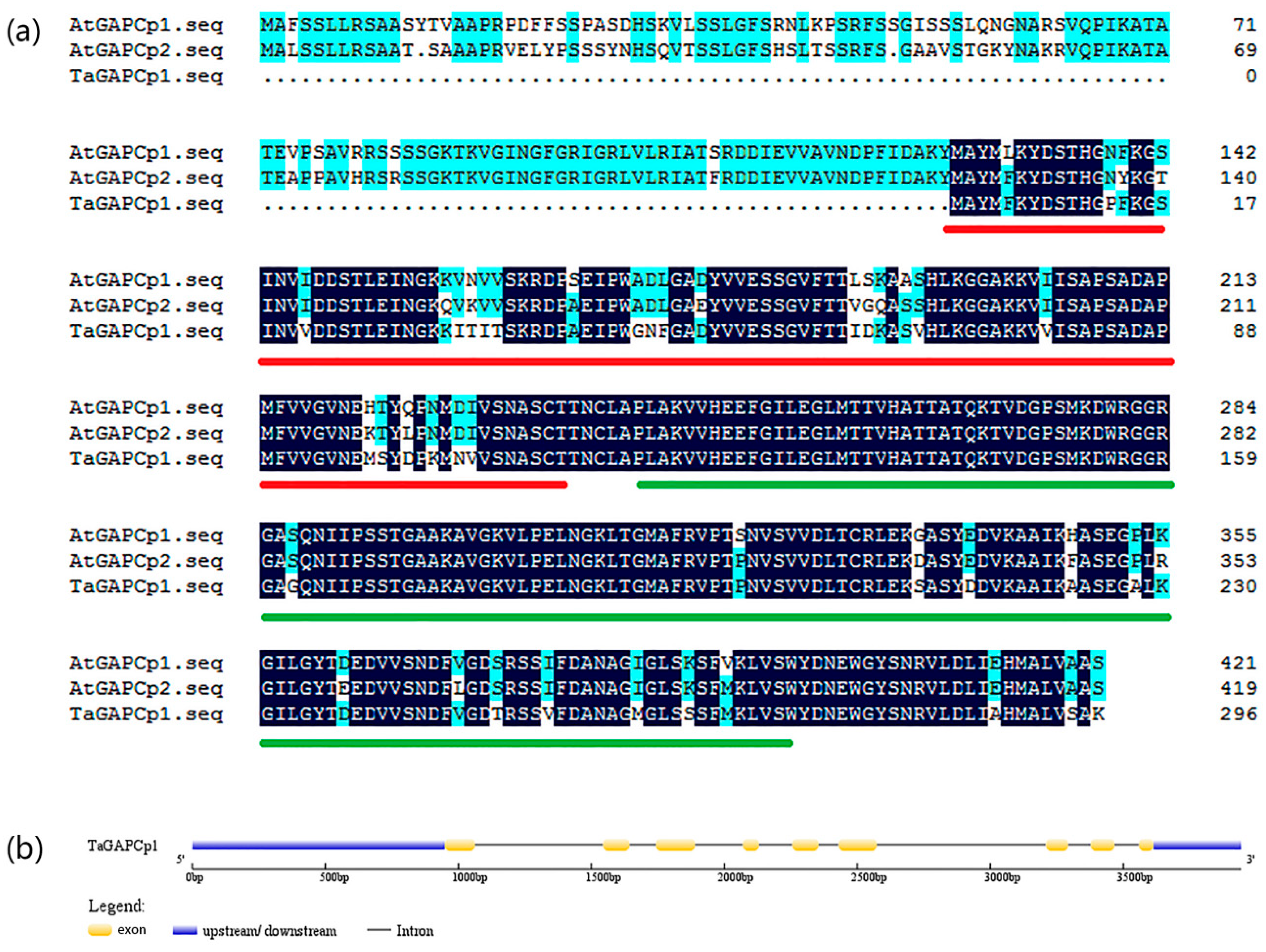 Ijms 20 01104 g001 Ijms 20 01104 g001