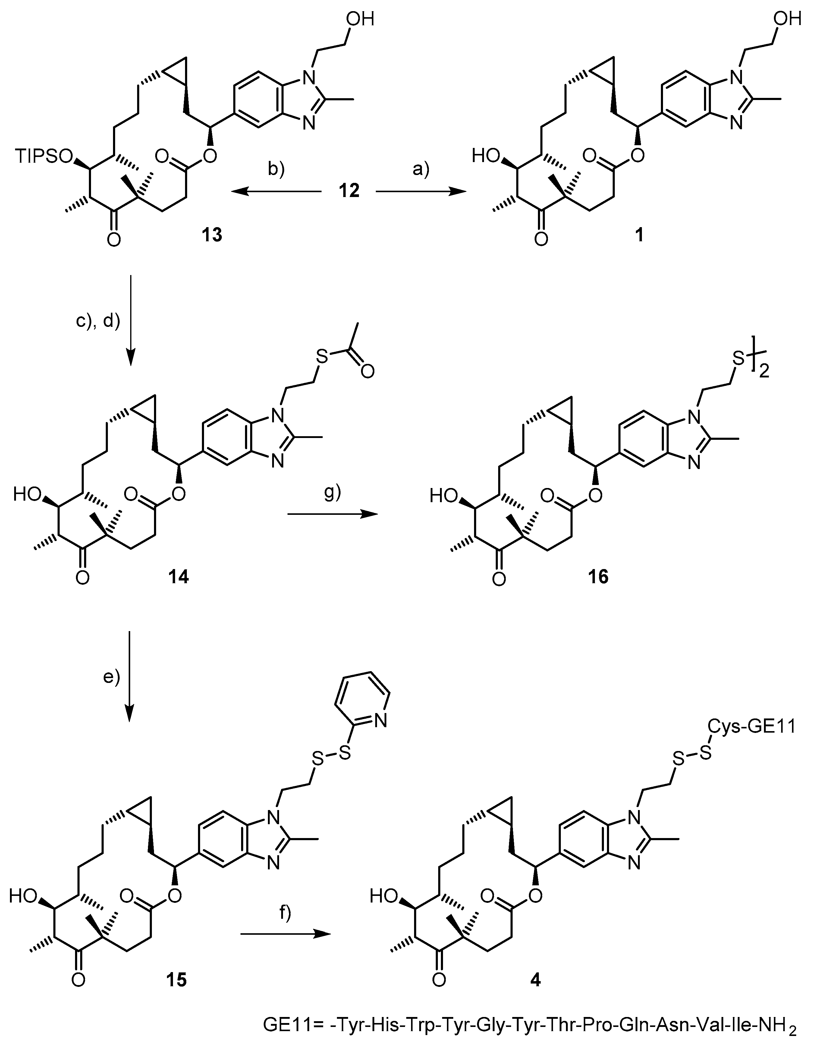Ijms 20 01113 sch002