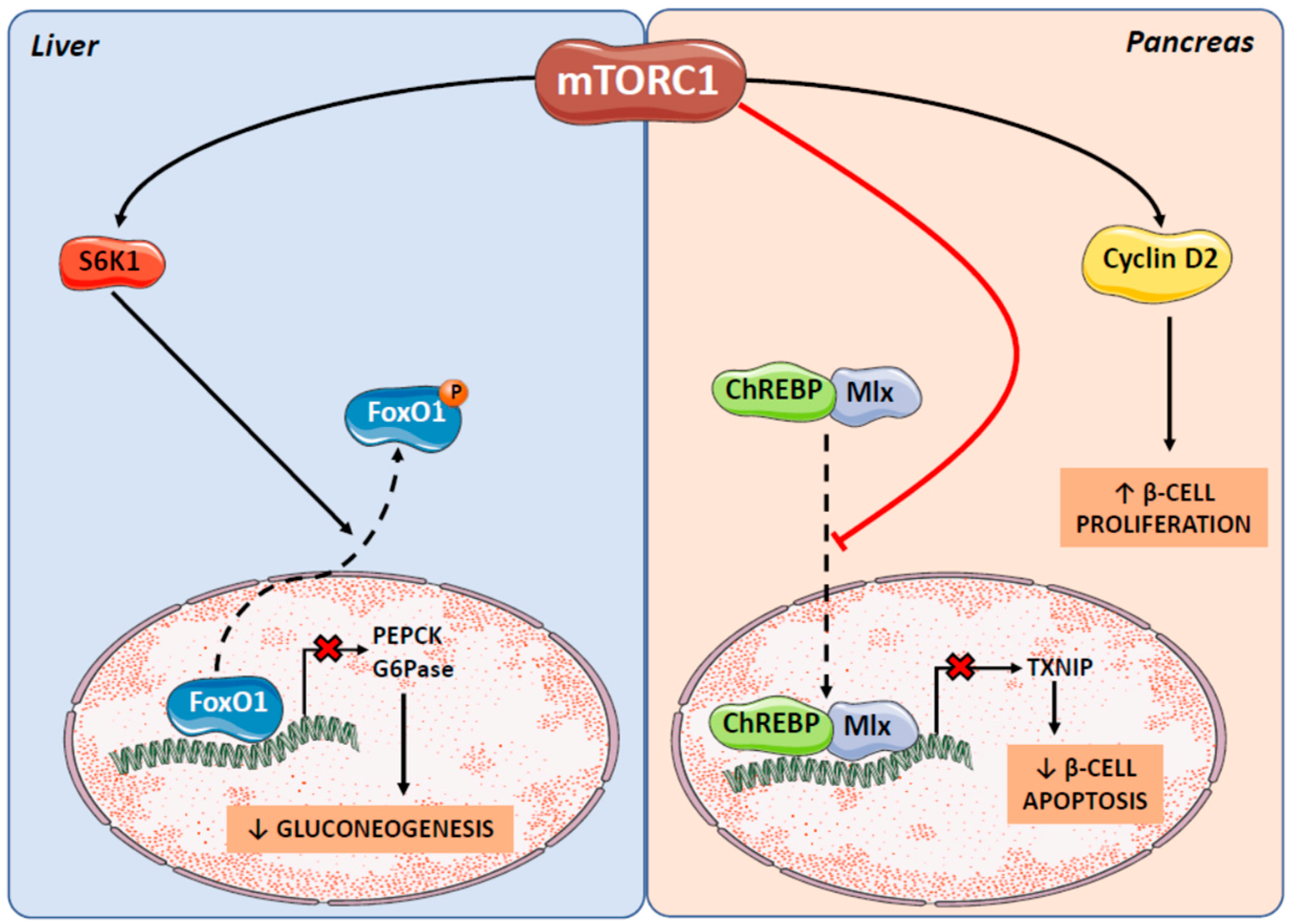 Ijms 20 01117 g004 550