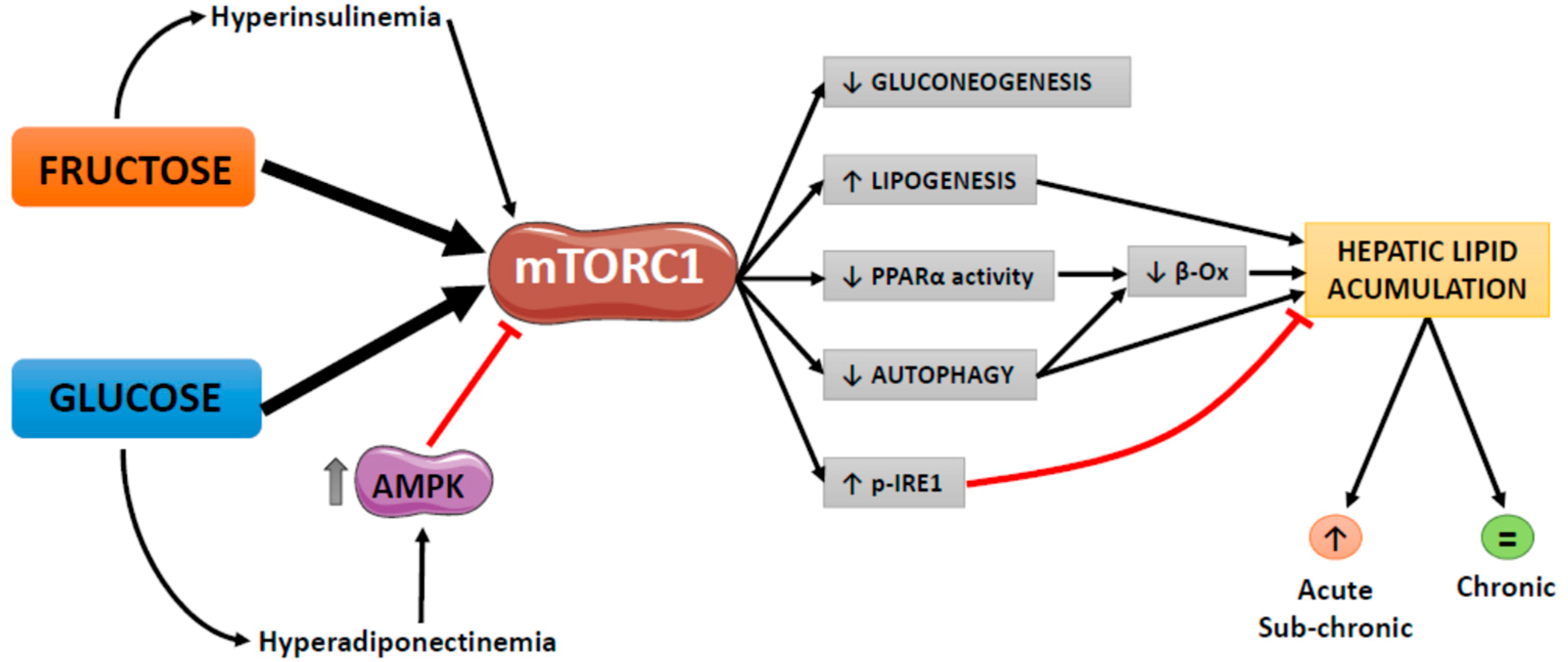 Ijms 20 01117 g005 550