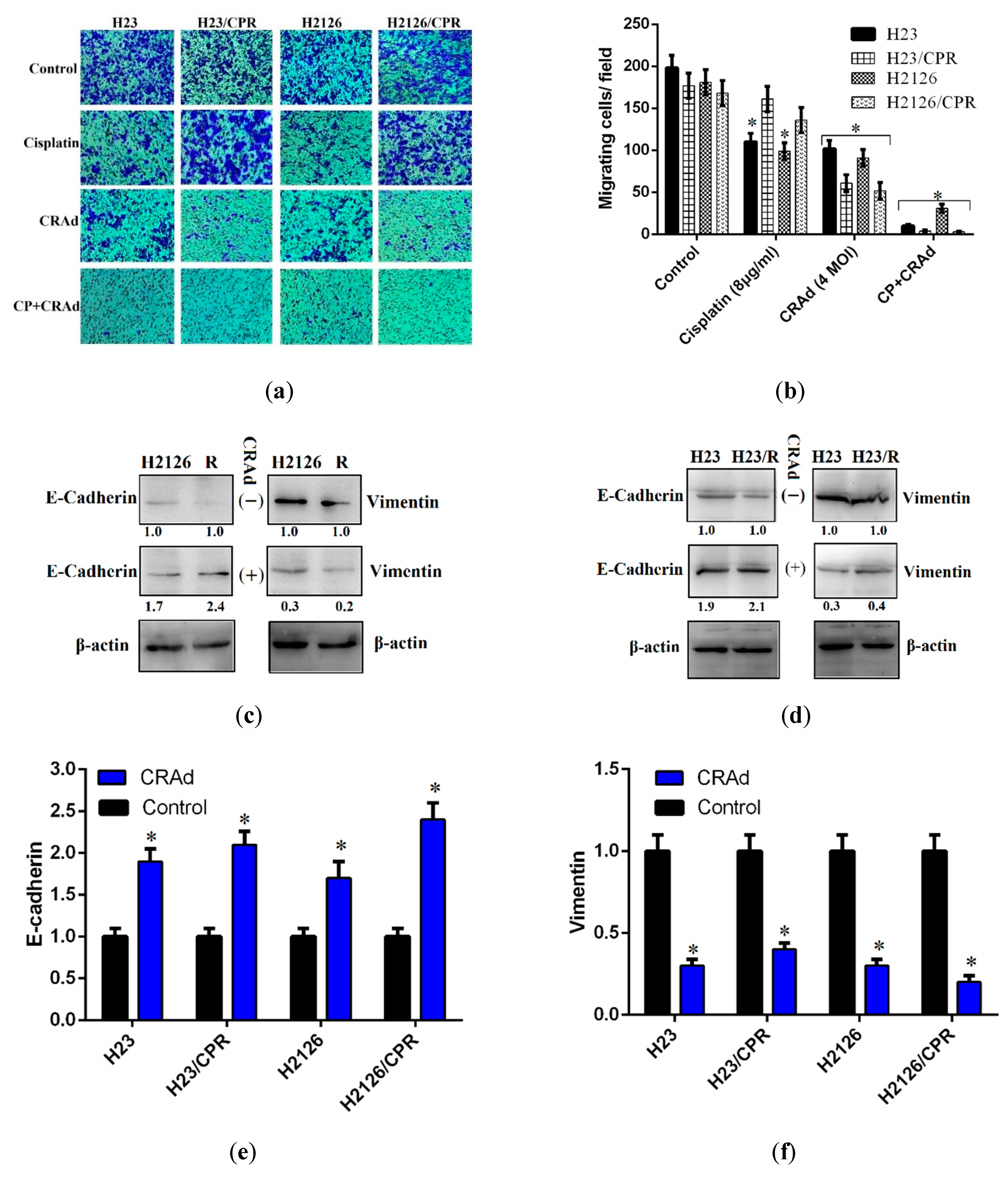 Ijms 20 01125 g005 Ijms 20 01125 g005