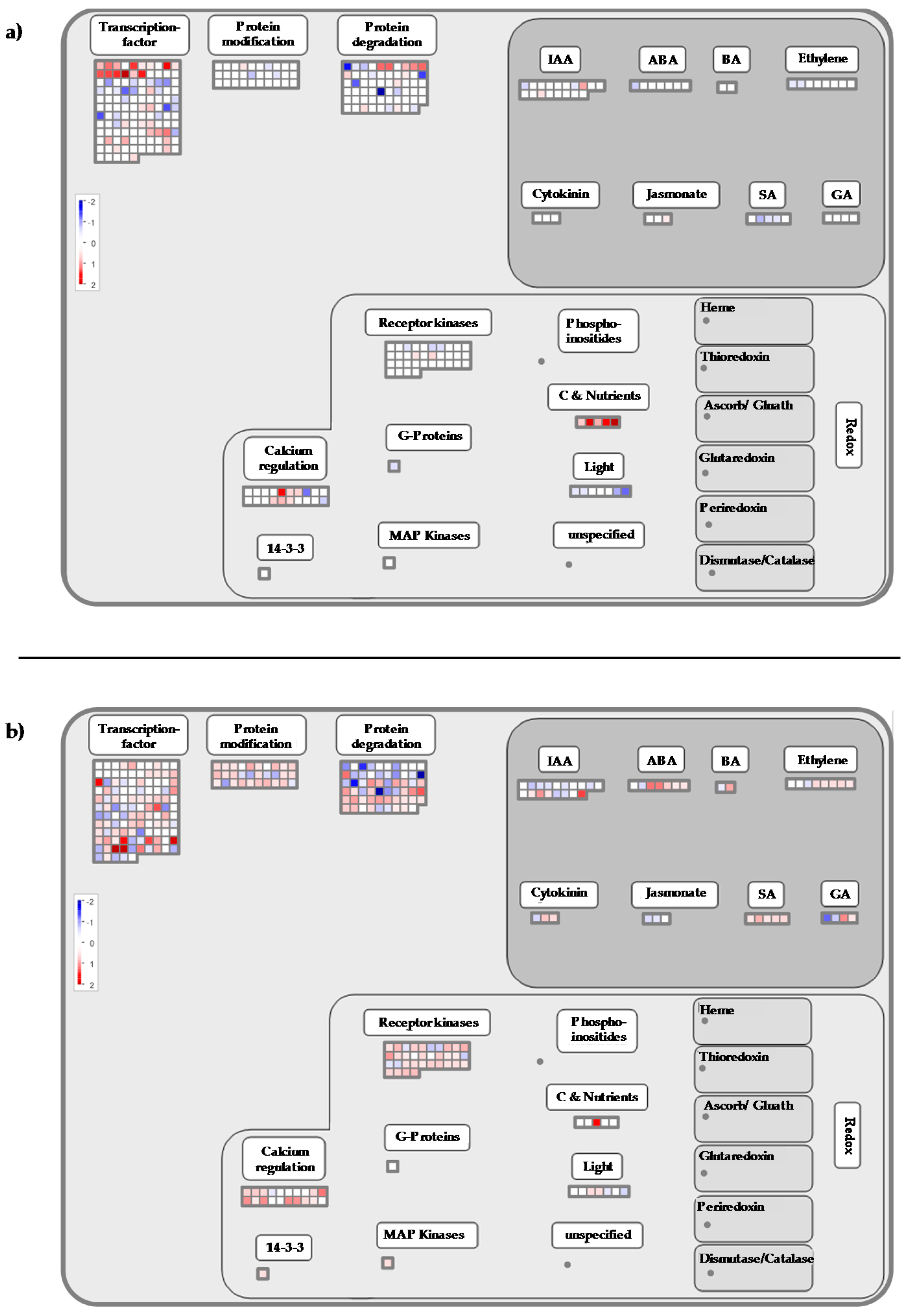 Ijms 20 01130 g003 Ijms 20 01130 g003
