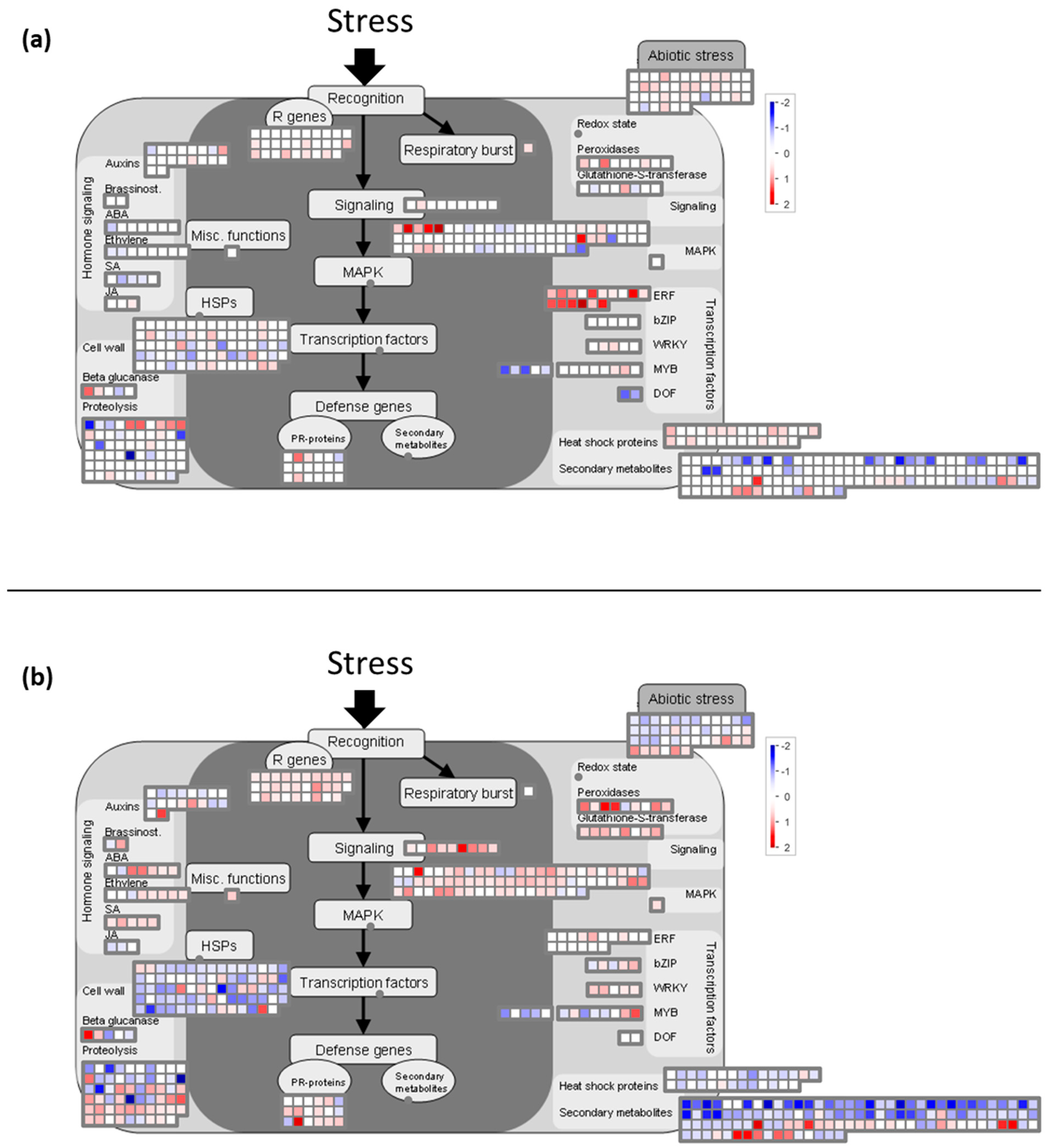 Ijms 20 01130 g004 Ijms 20 01130 g004
