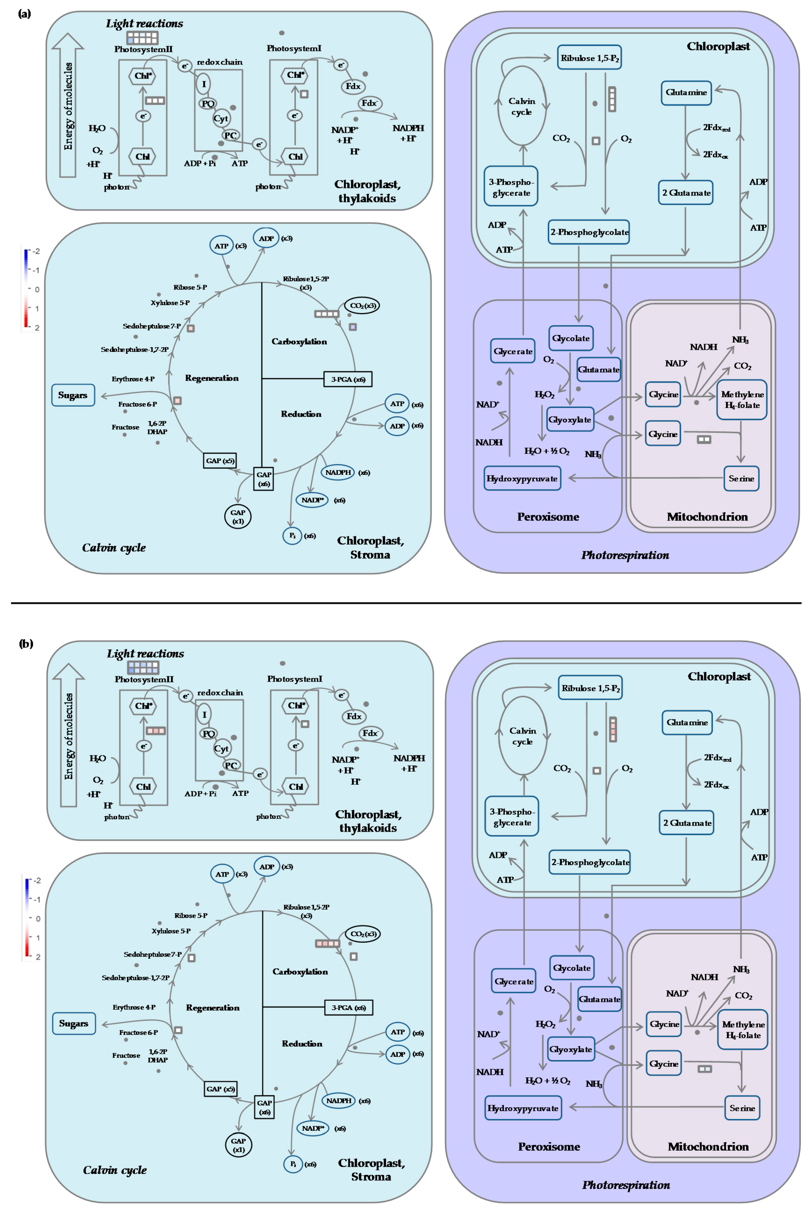 Ijms 20 01130 g006 Ijms 20 01130 g006