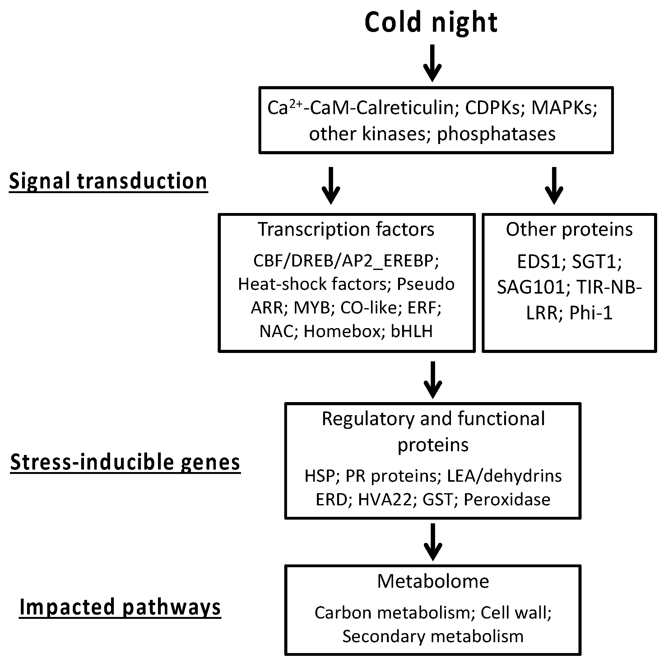 Ijms 20 01130 g010 Ijms 20 01130 g010