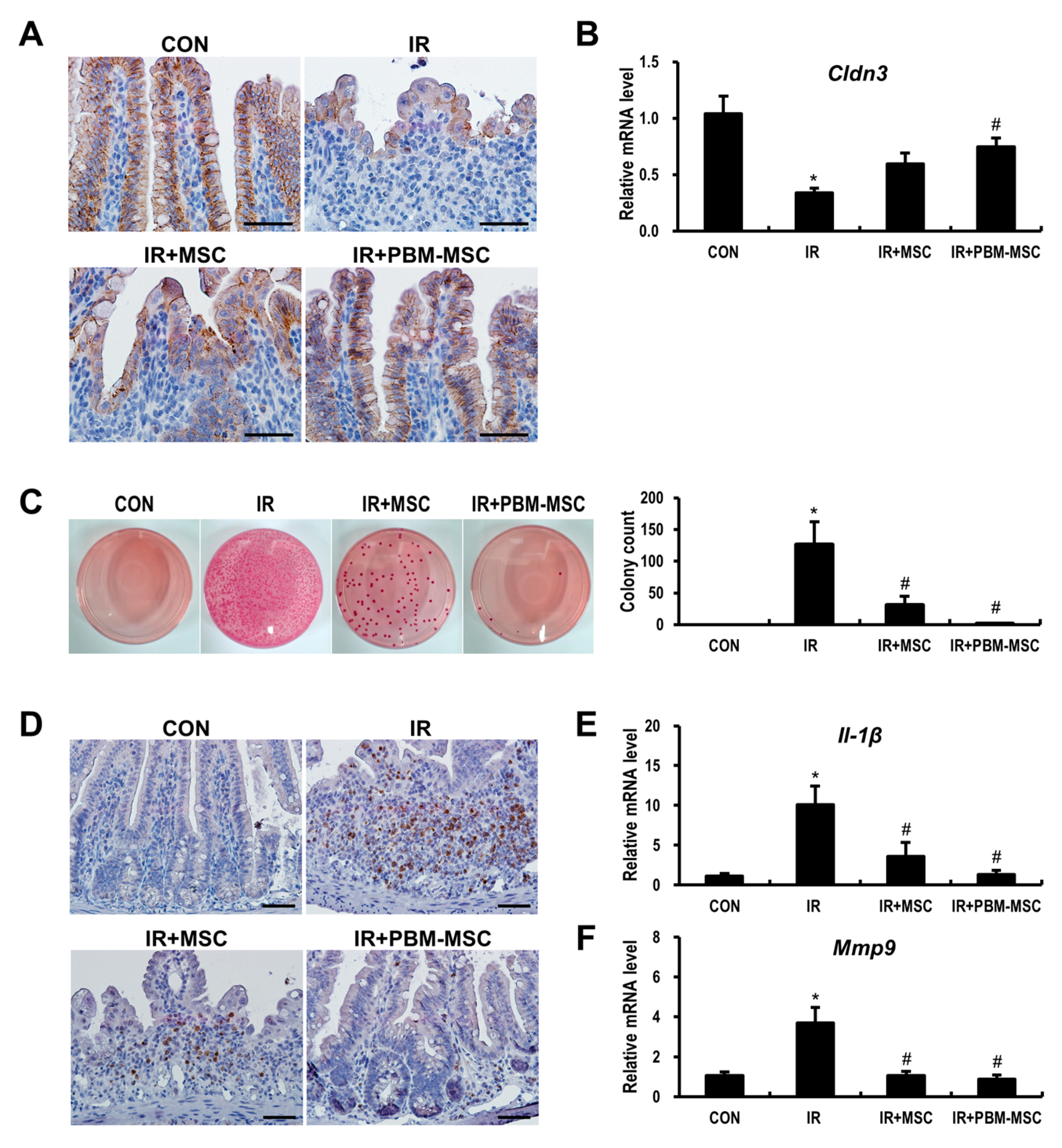 Ijms 20 01131 g005