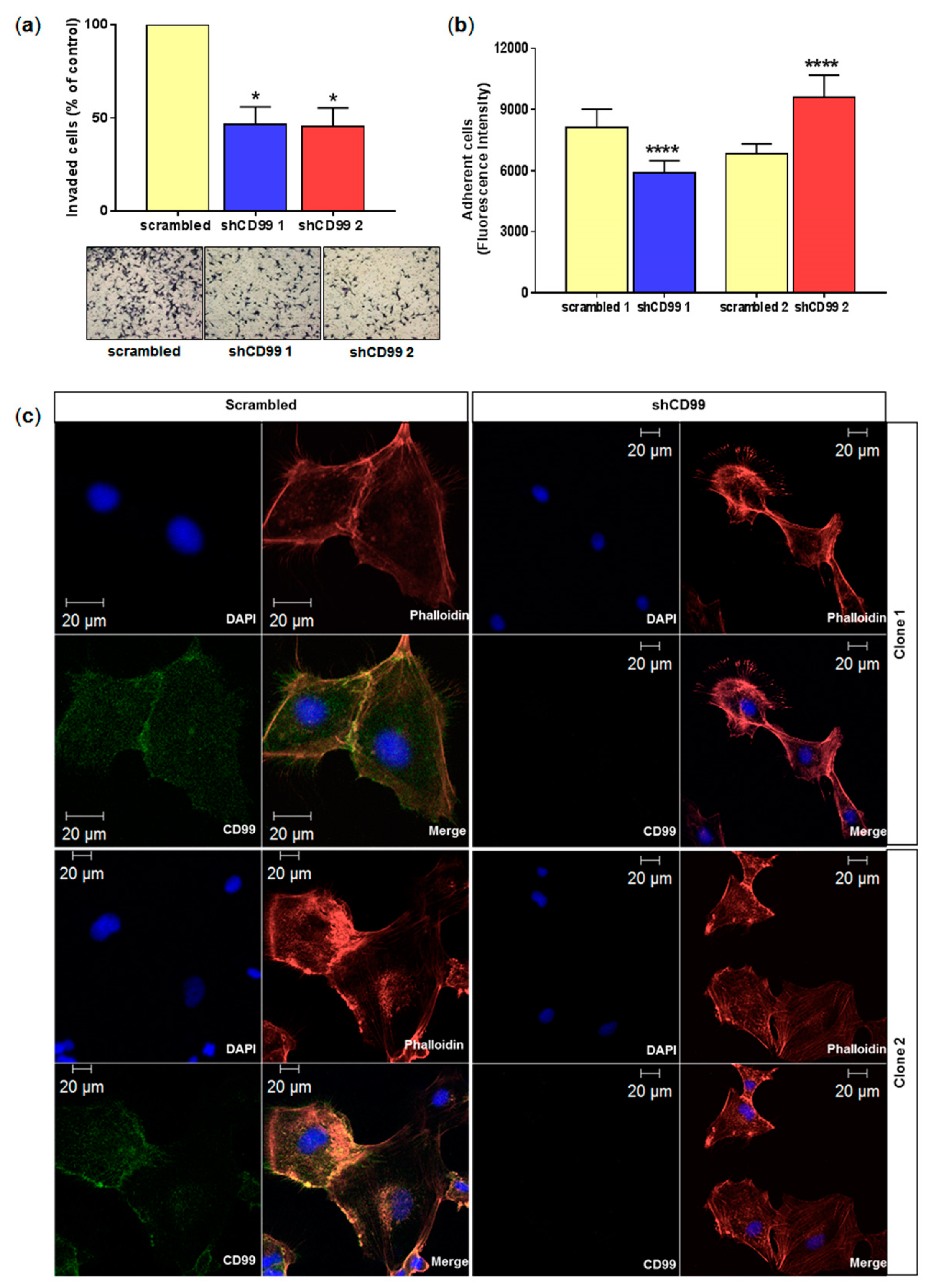 Ijms 20 01137 g004 Ijms 20 01137 g004