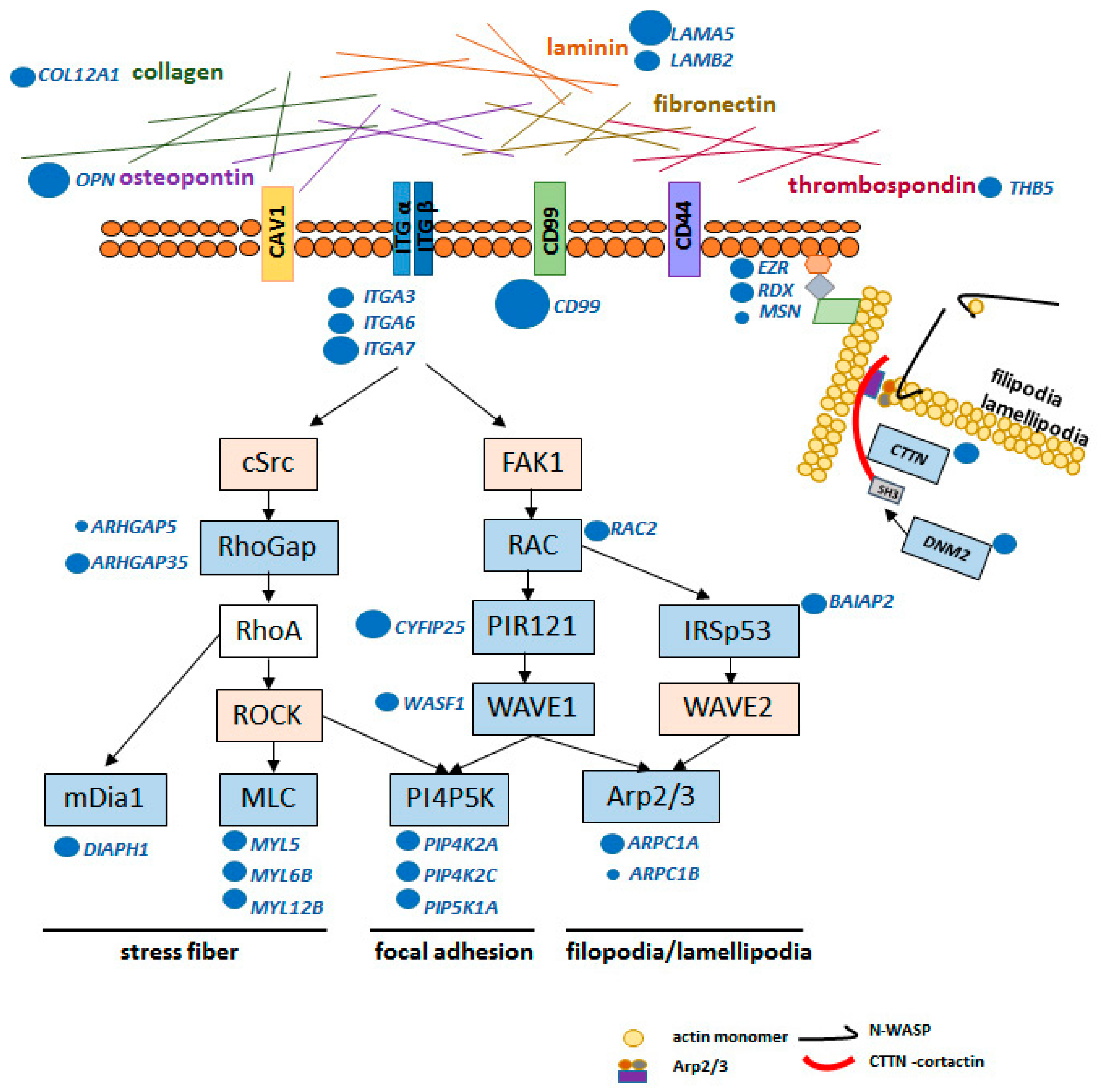 Ijms 20 01137 g005 Ijms 20 01137 g005