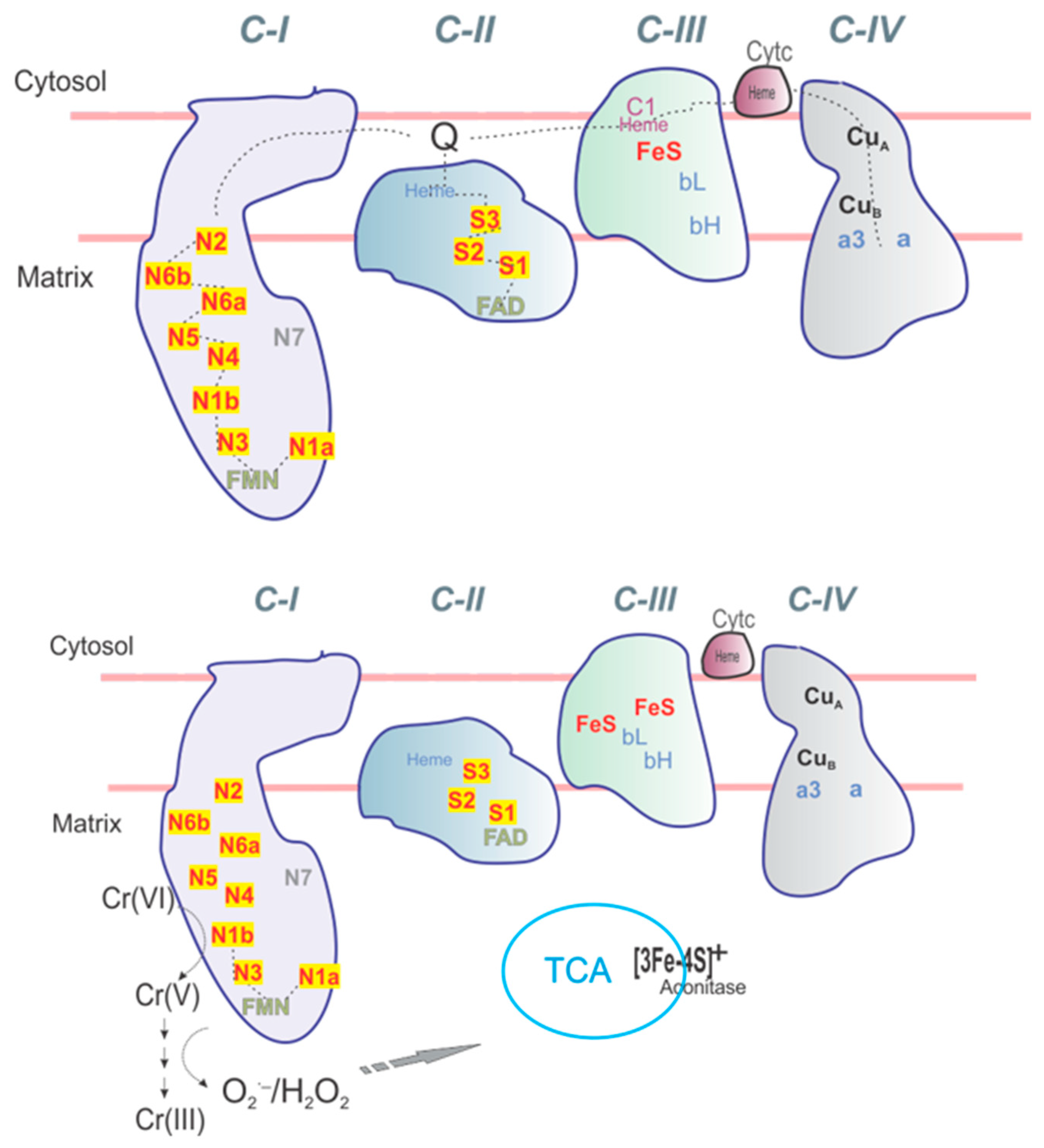 Ijms 20 01143 g001 Ijms 20 01143 g001