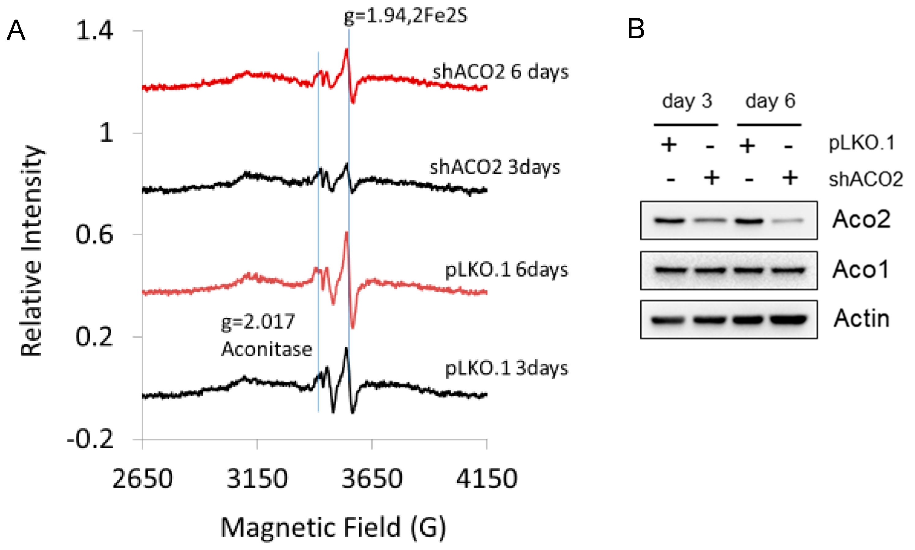 Ijms 20 01143 g009 Ijms 20 01143 g009