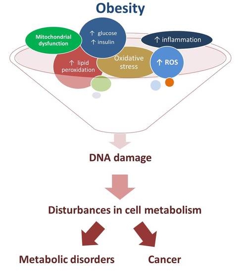 ожирение и метаболизм журнал