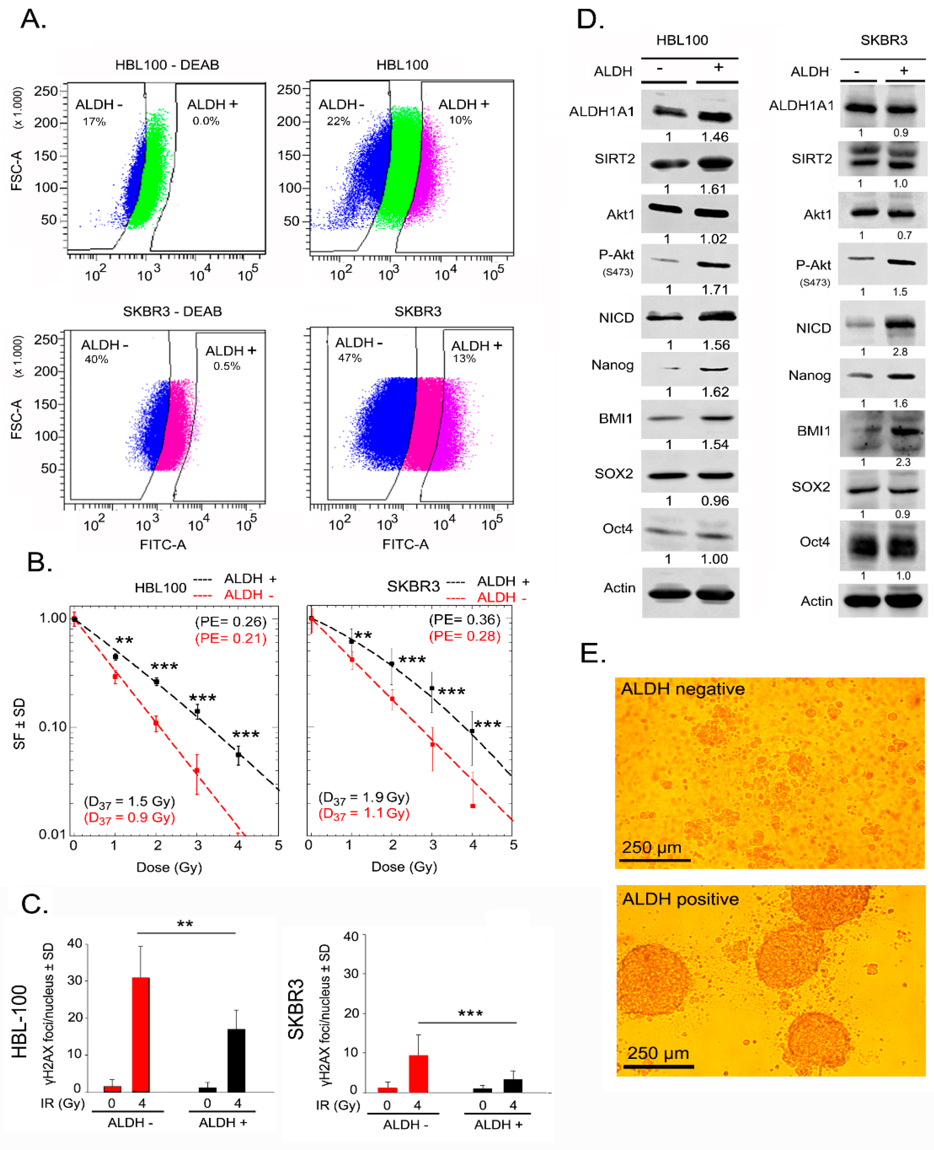 Ijms 20 01151 g001 550