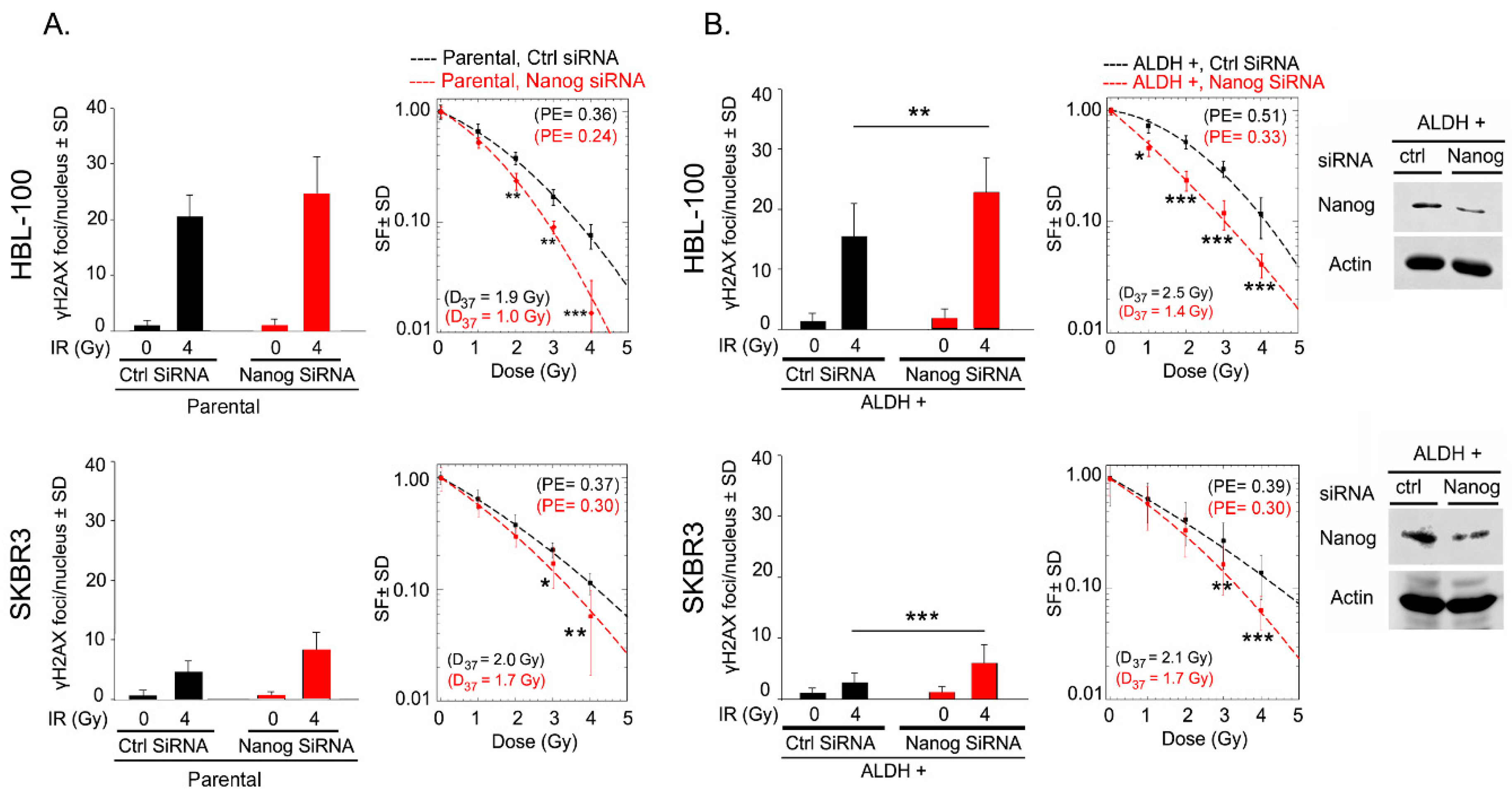Ijms 20 01151 g003 550