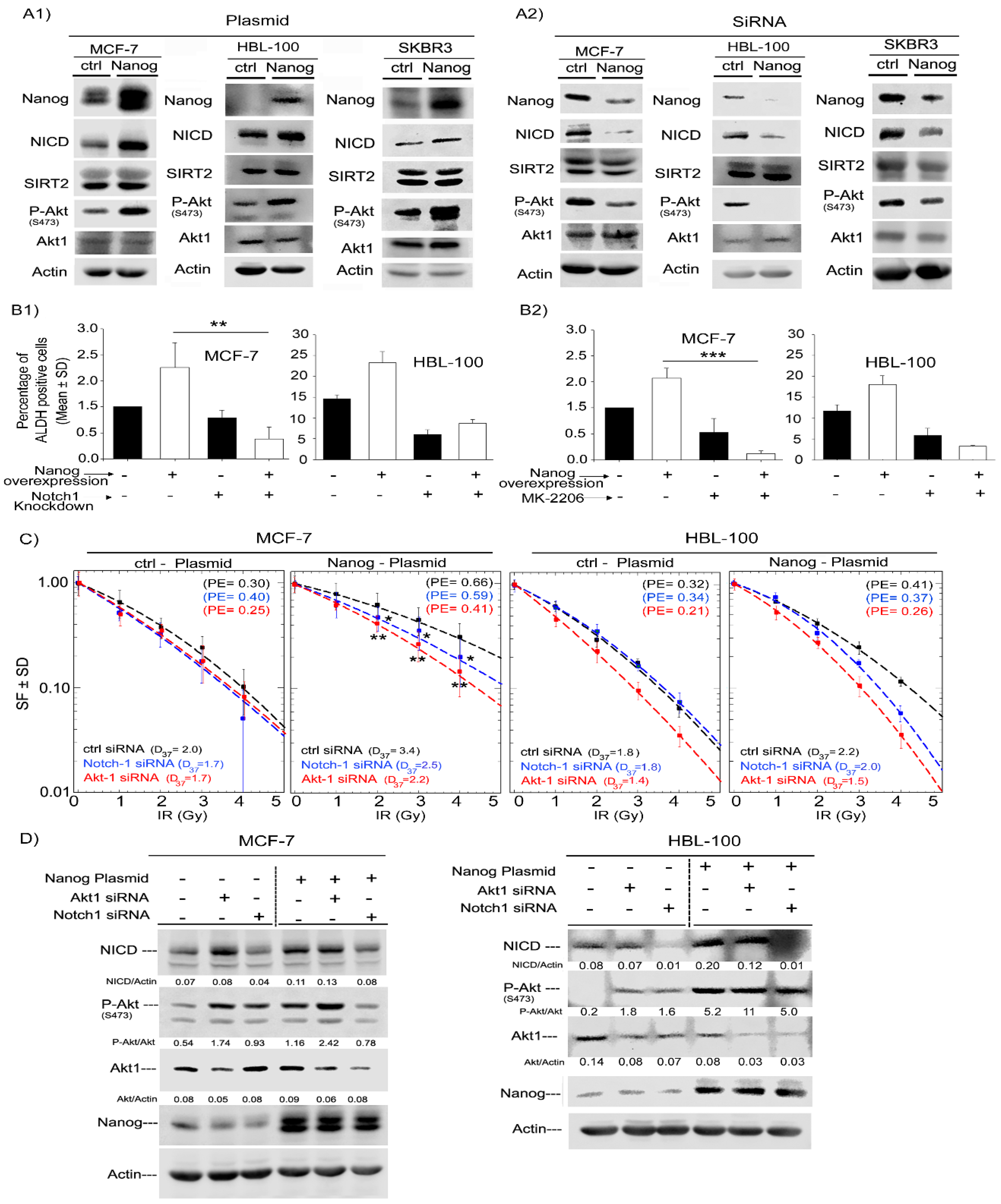Ijms 20 01151 g004 550