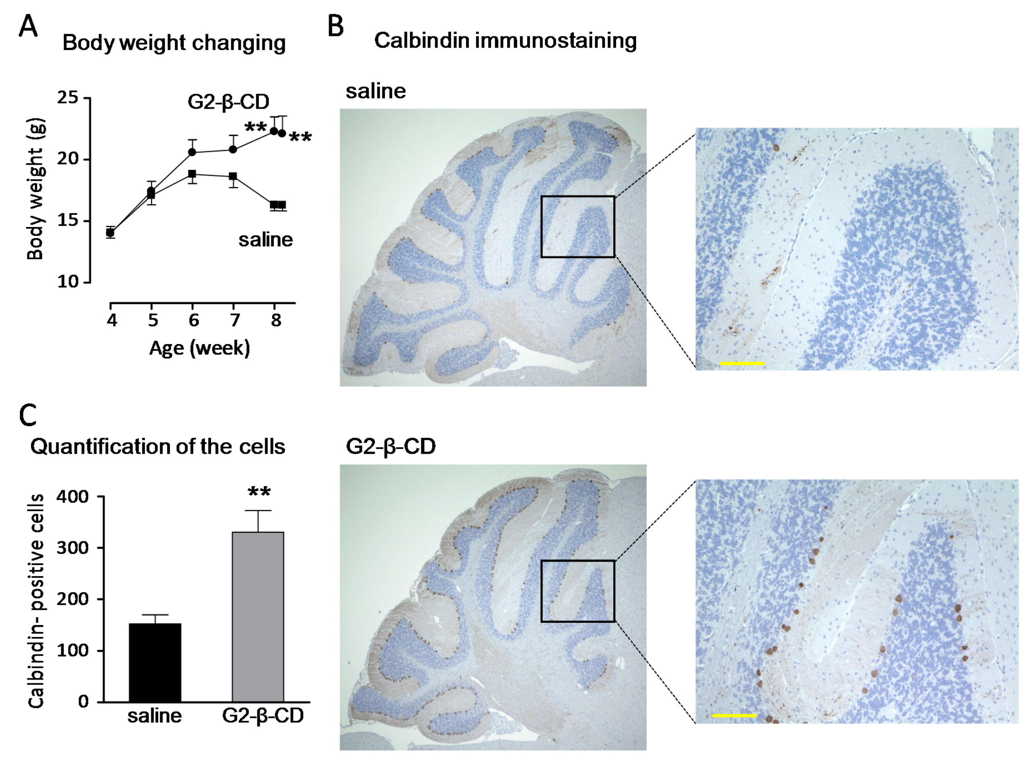 Ijms 20 01152 g007 550