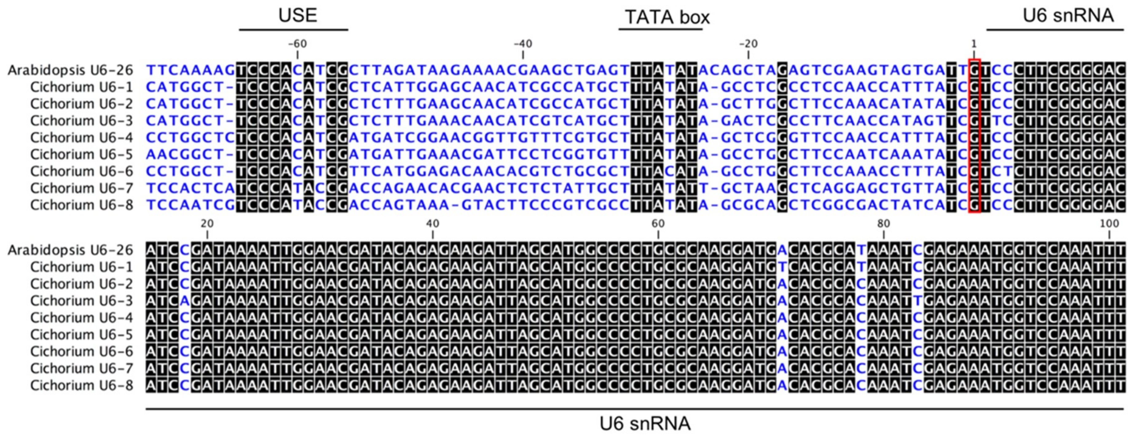 Ijms 20 01155 g001
