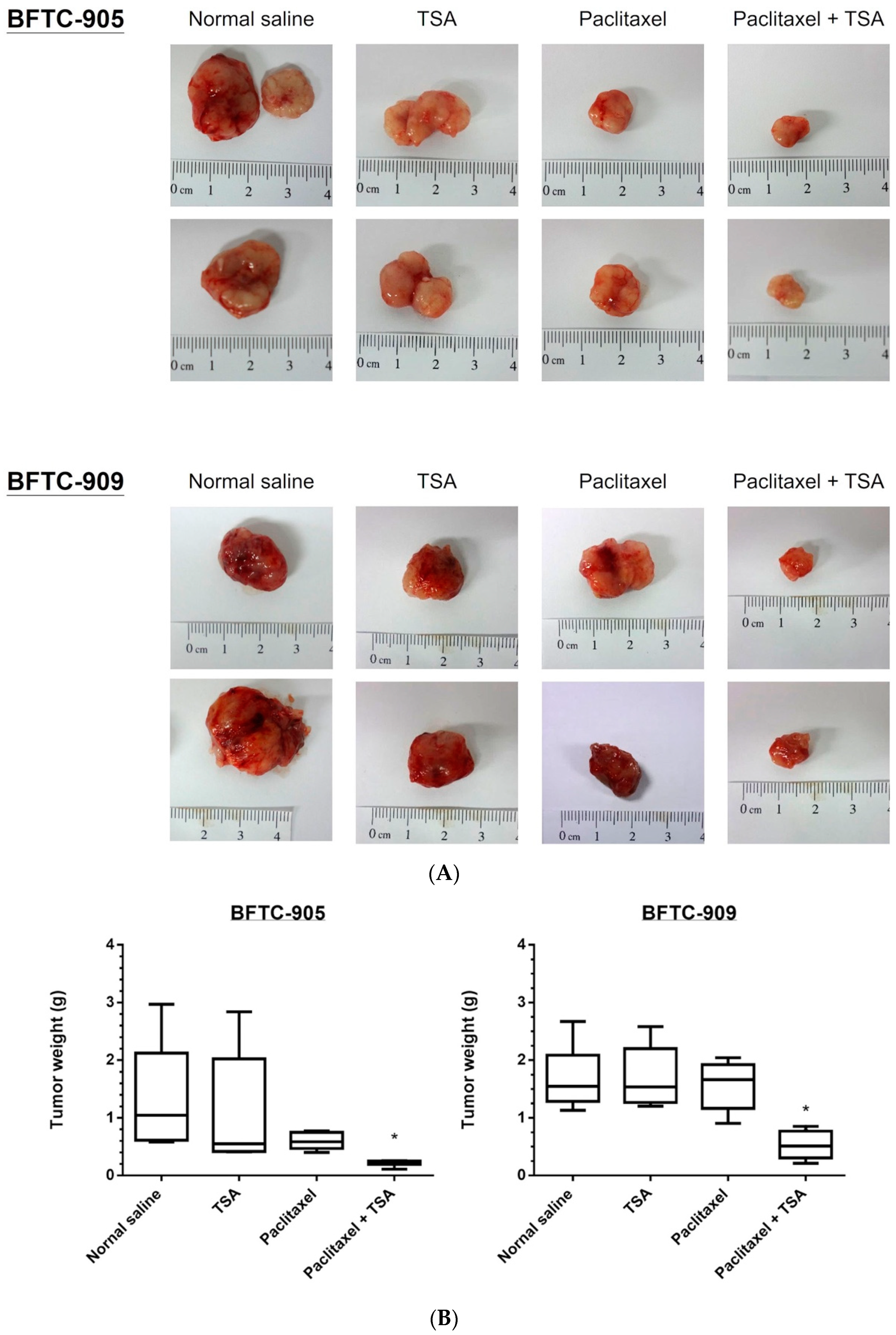 Ijms 20 01162 g005a Ijms 20 01162 g005a