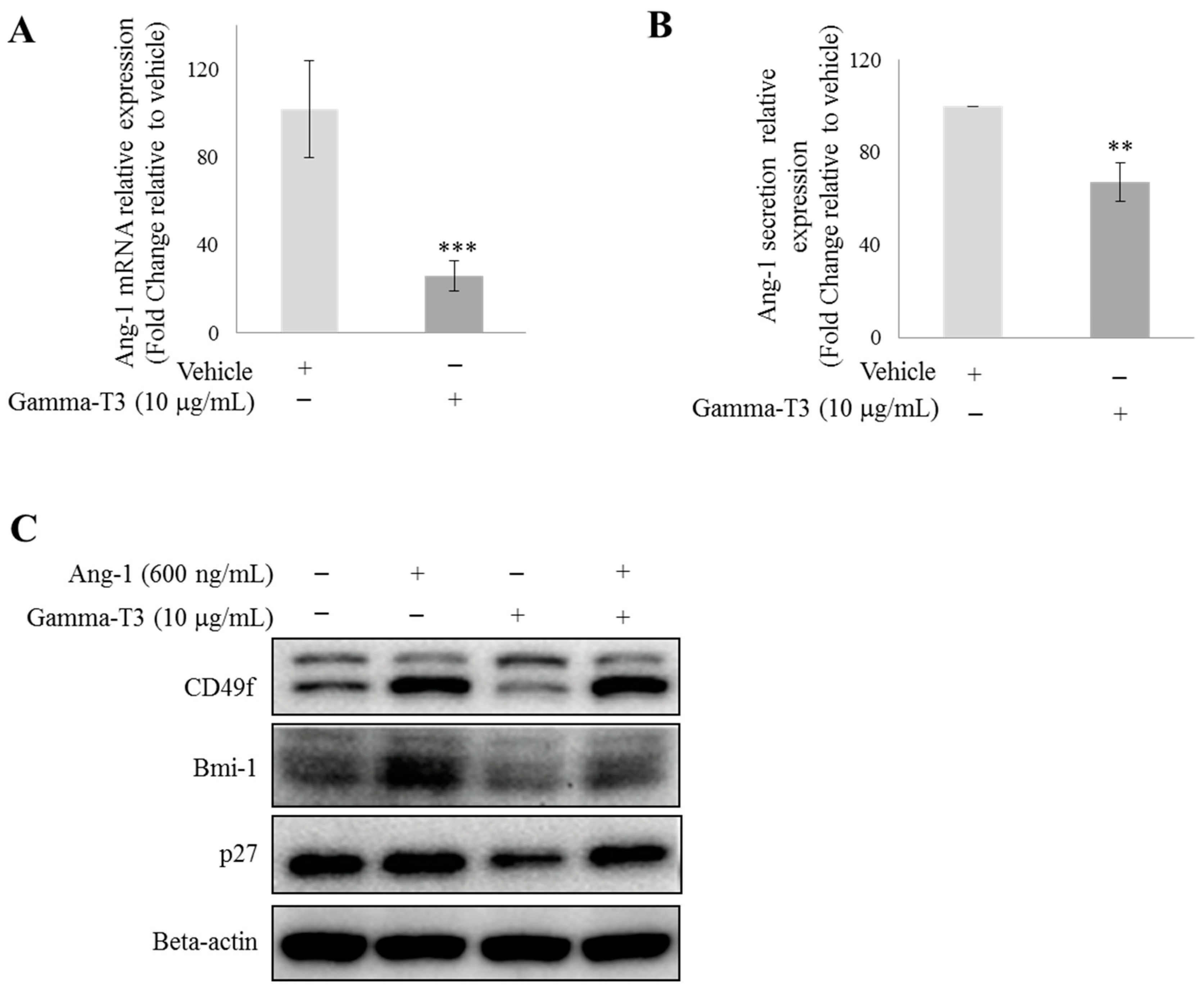 Ijms 20 01164 g001