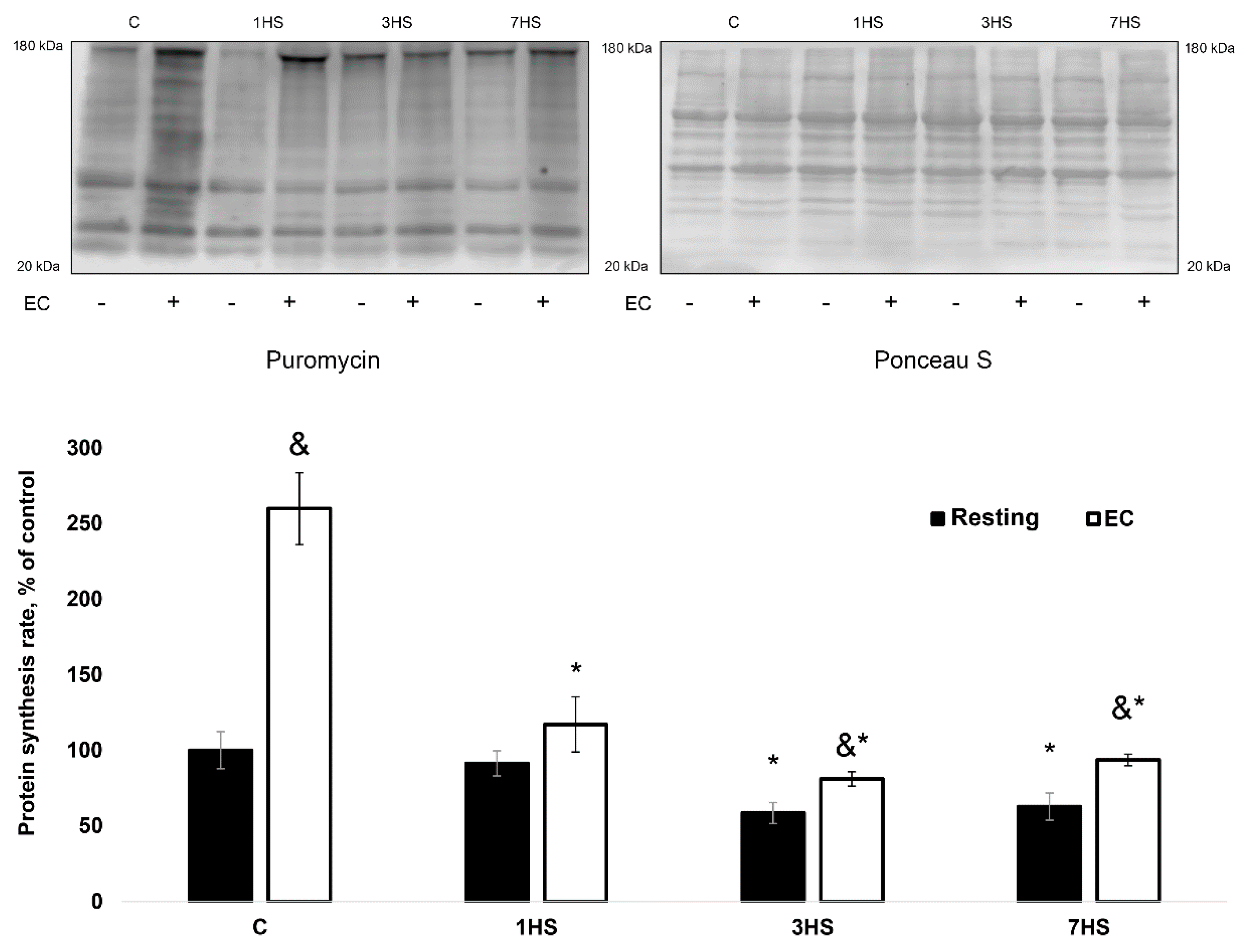 Ijms 20 01165 g001 Ijms 20 01165 g001