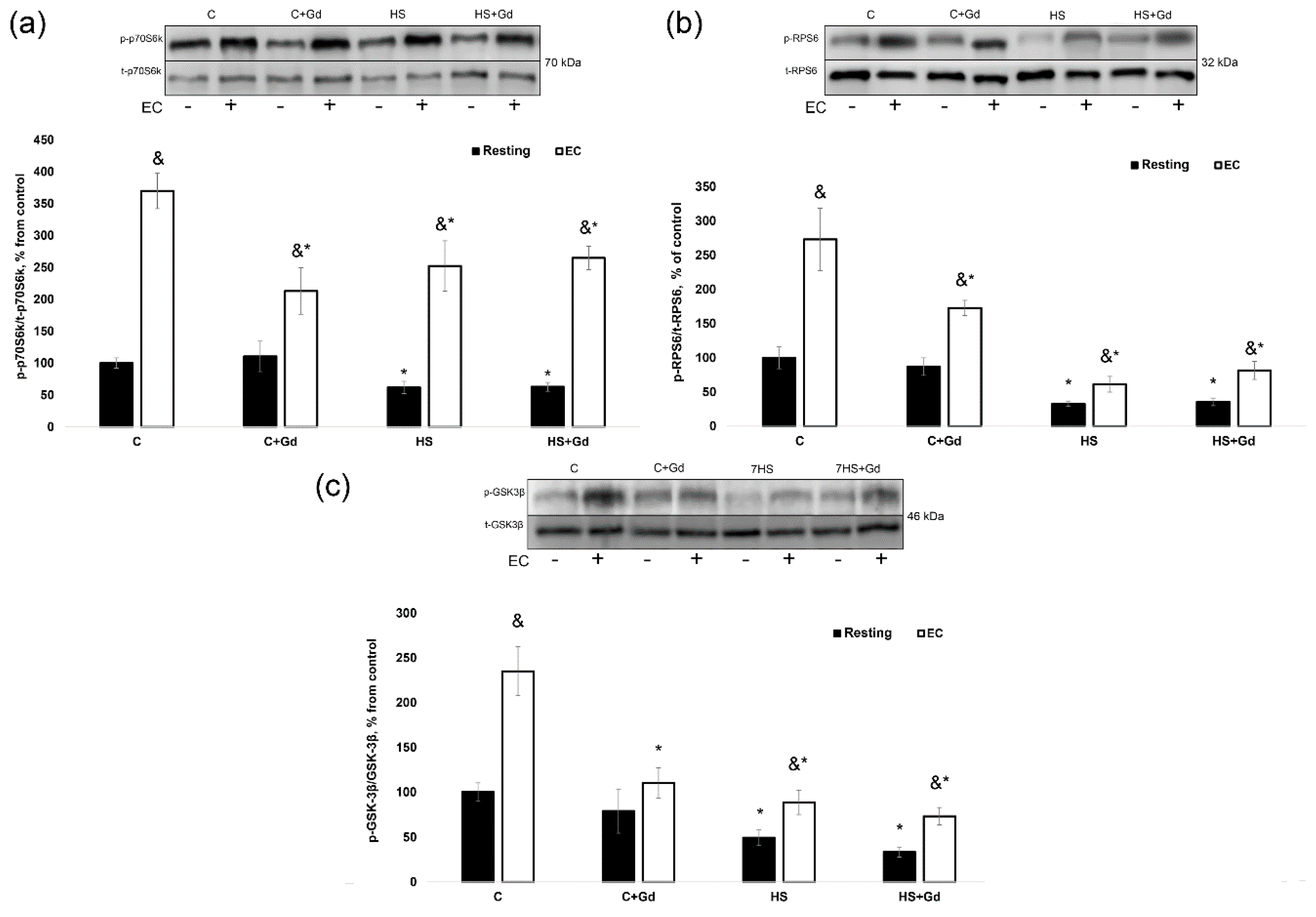 Ijms 20 01165 g005 Ijms 20 01165 g005