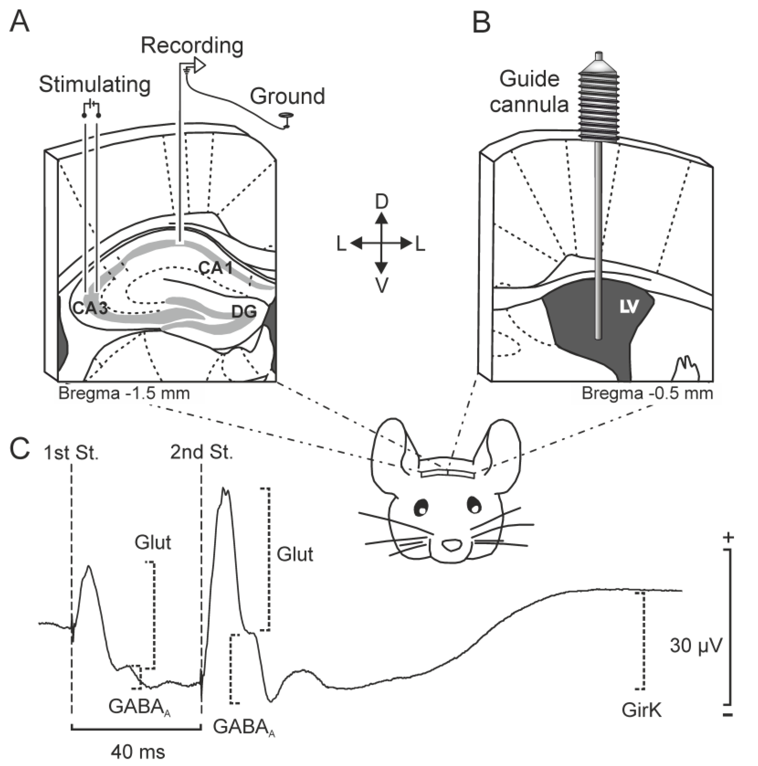 Ijms 20 01168 g001 Ijms 20 01168 g001