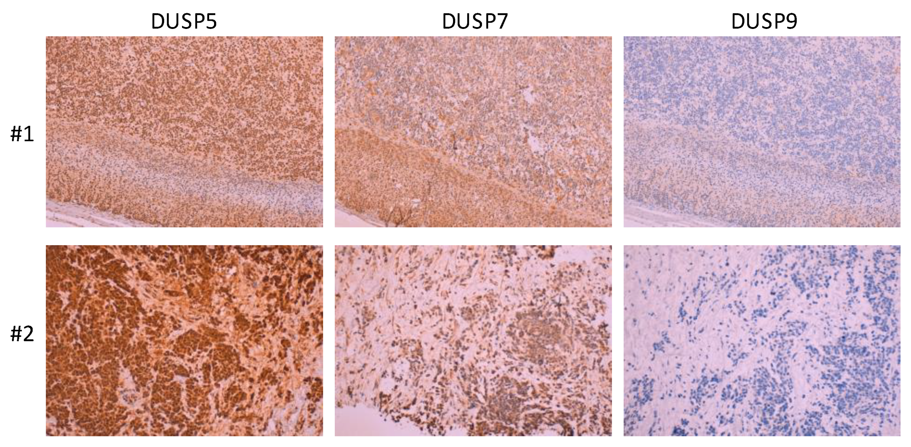 Ijms 20 01170 g003 Ijms 20 01170 g003